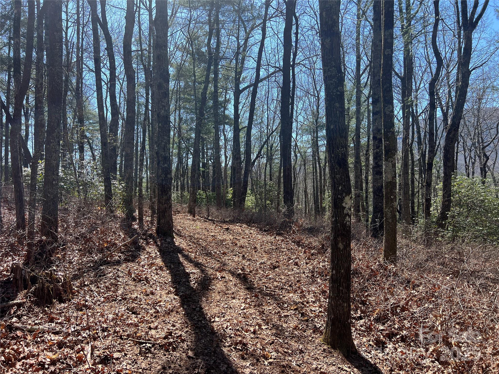 Tbd Panther Ridge Road Property Photo 2