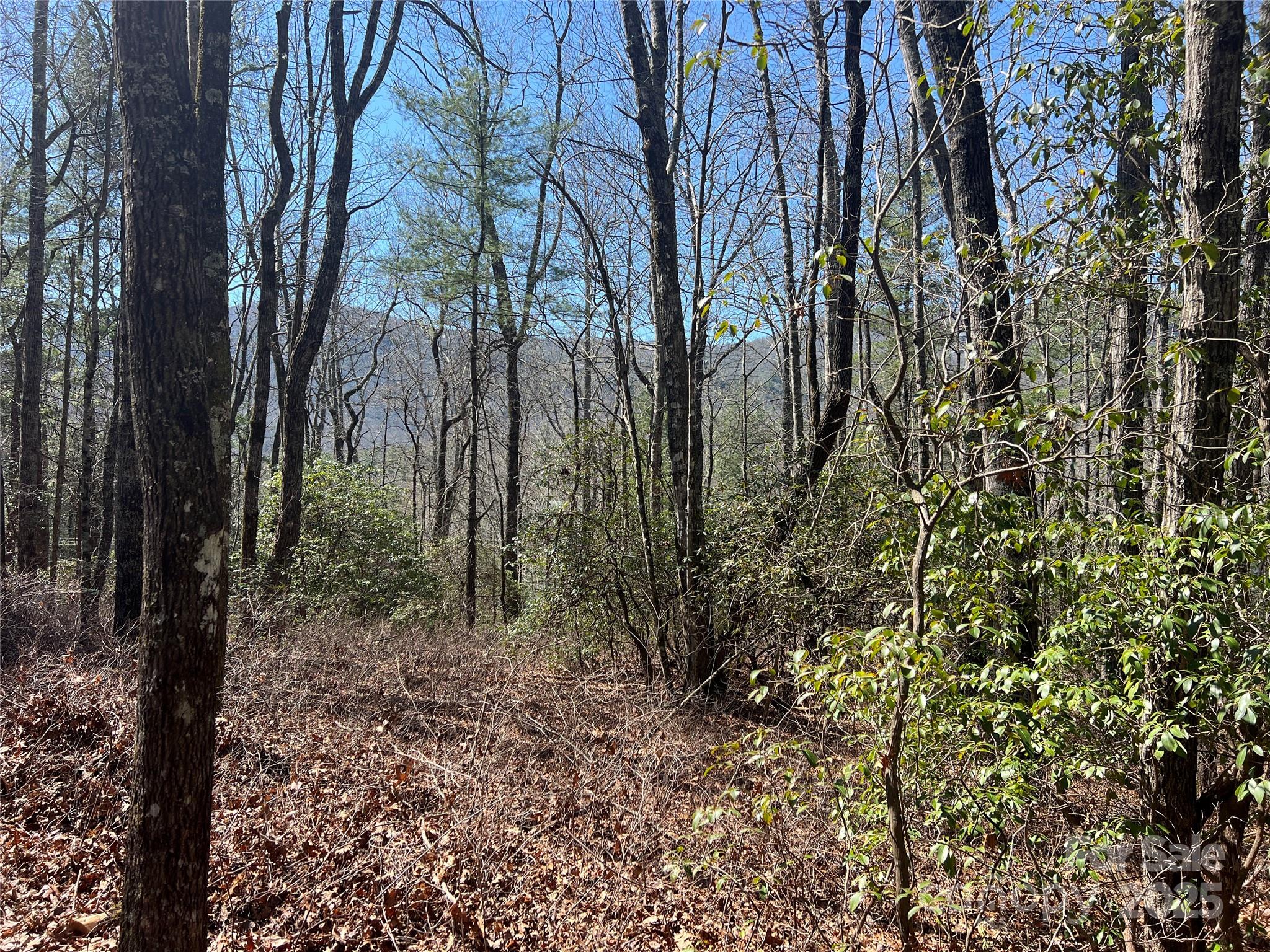 Tbd Panther Ridge Road Property Photo 3