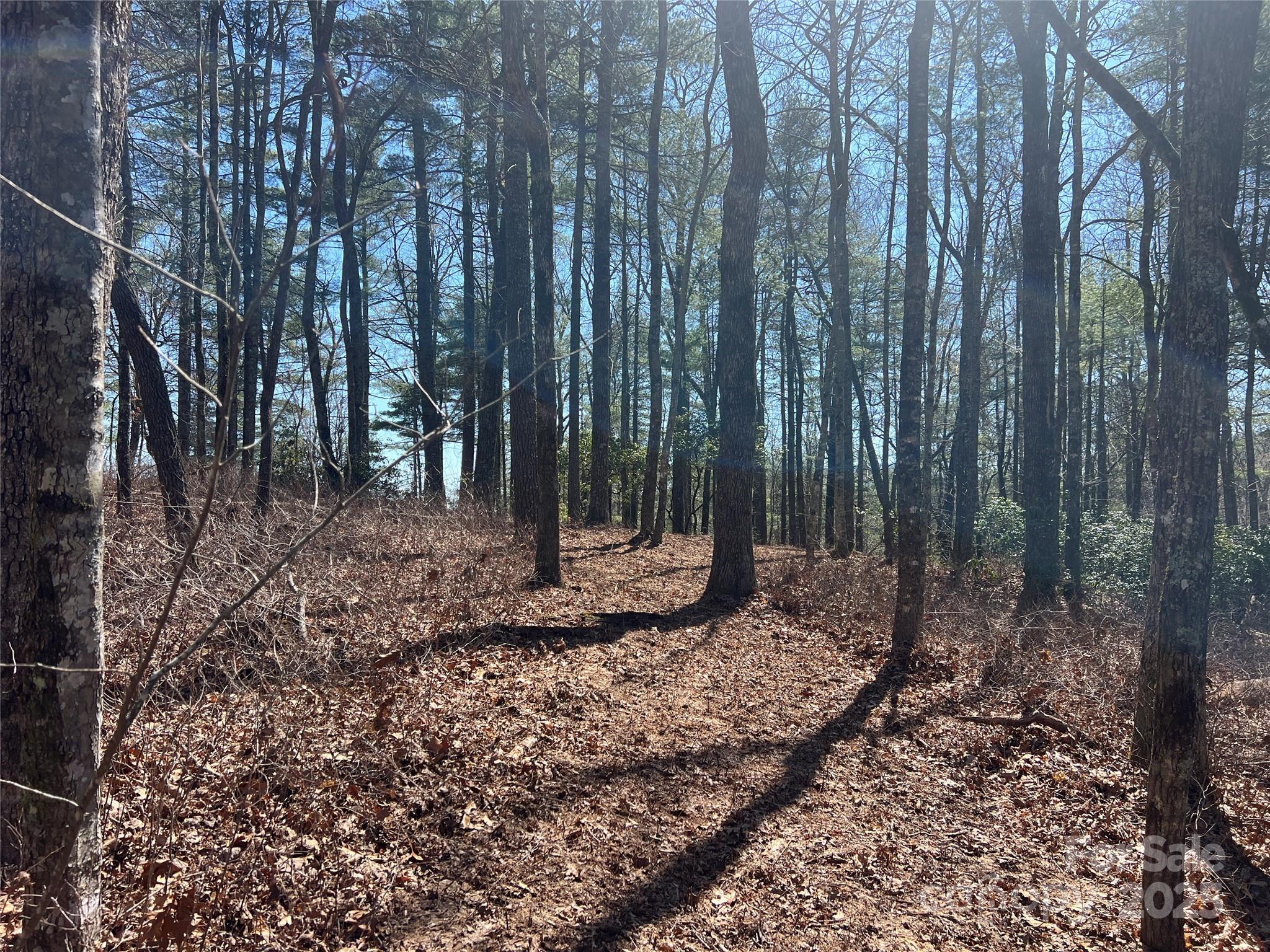 Tbd Panther Ridge Road Property Photo 4