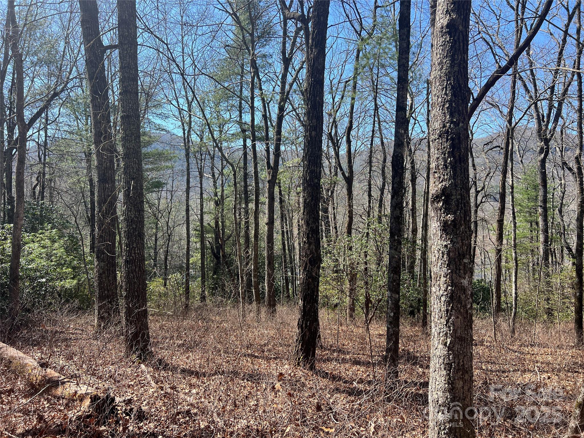 Tbd Panther Ridge Road Property Photo 5
