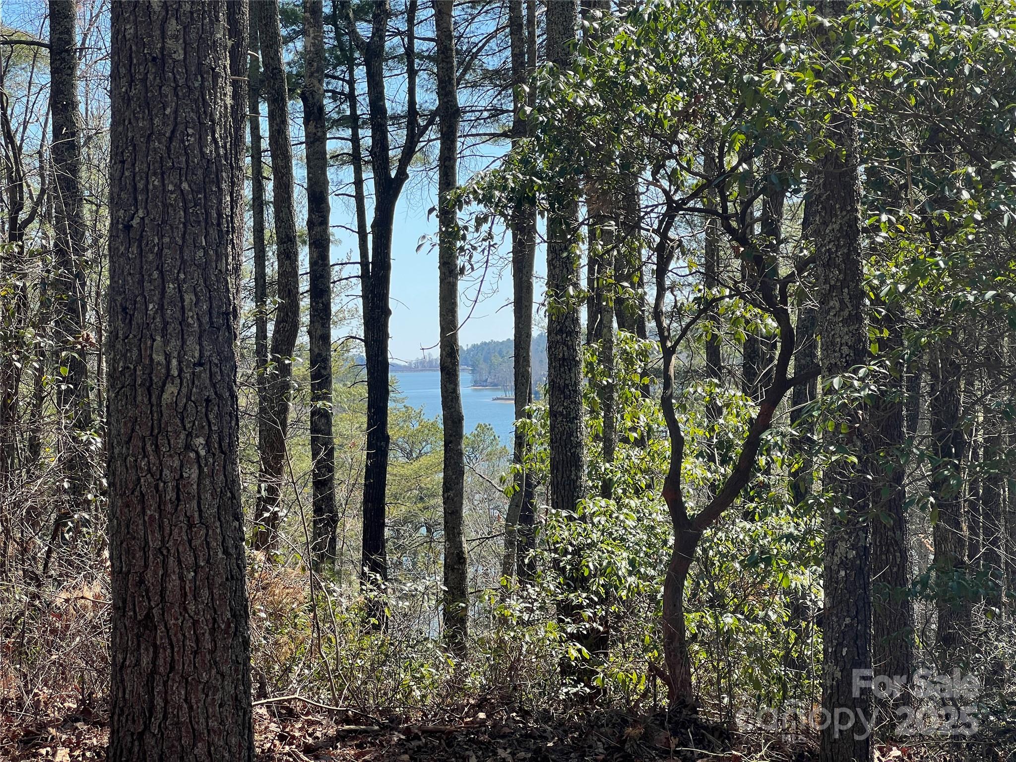 Tbd Panther Ridge Road Property Photo 8