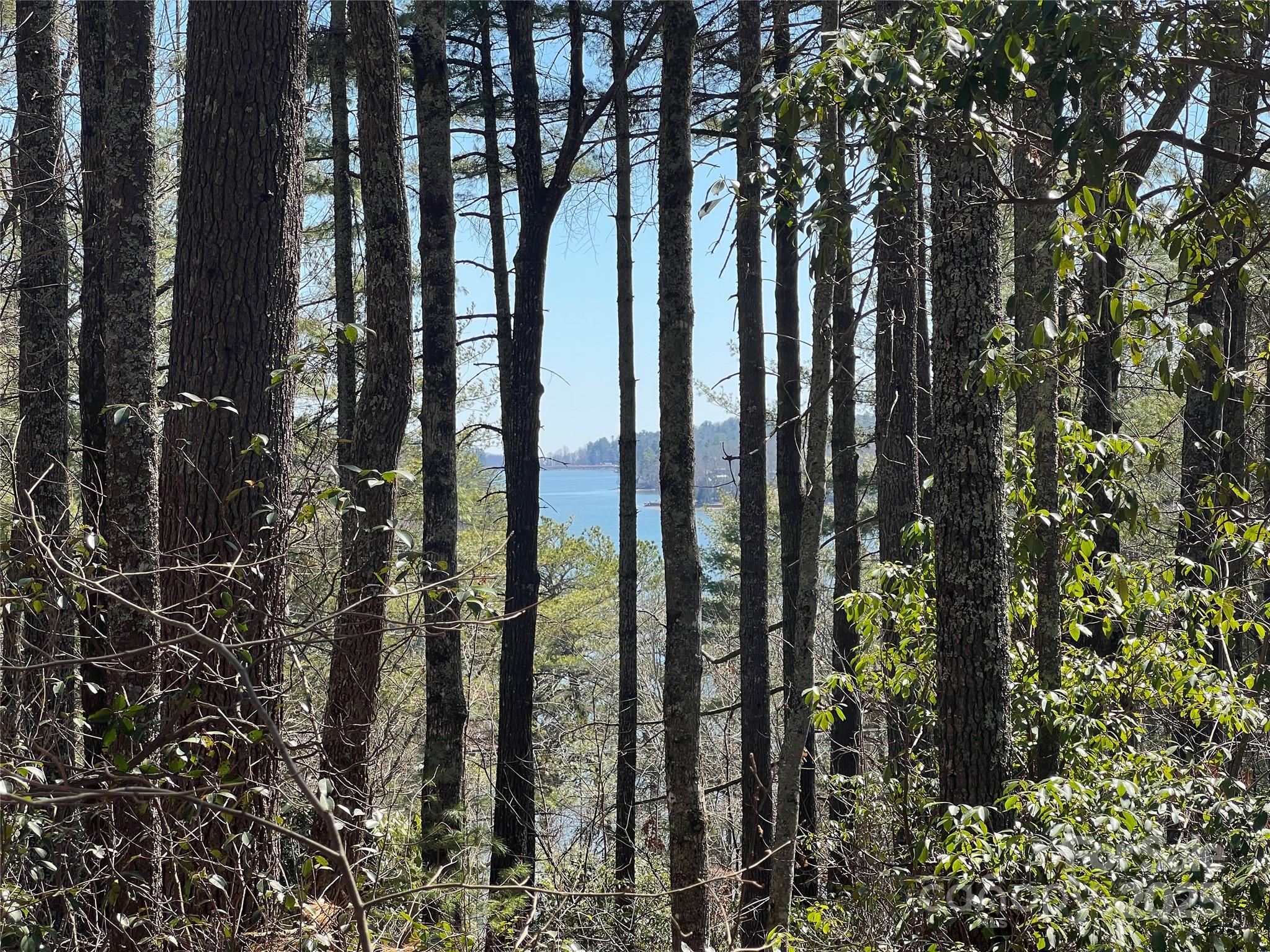 Tbd Panther Ridge Road Property Photo 9
