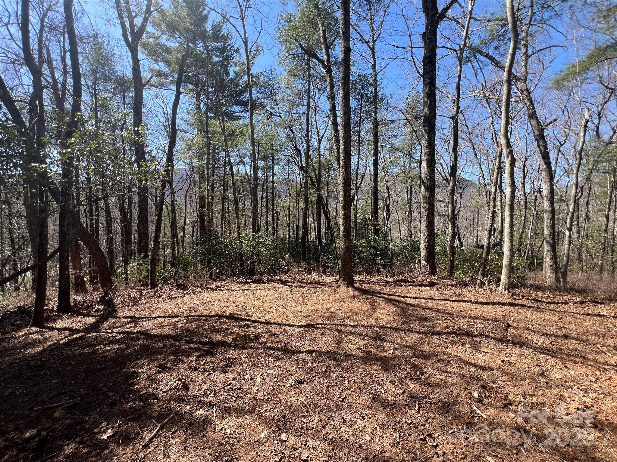 Tbd Panther Ridge Road Property Photo 10