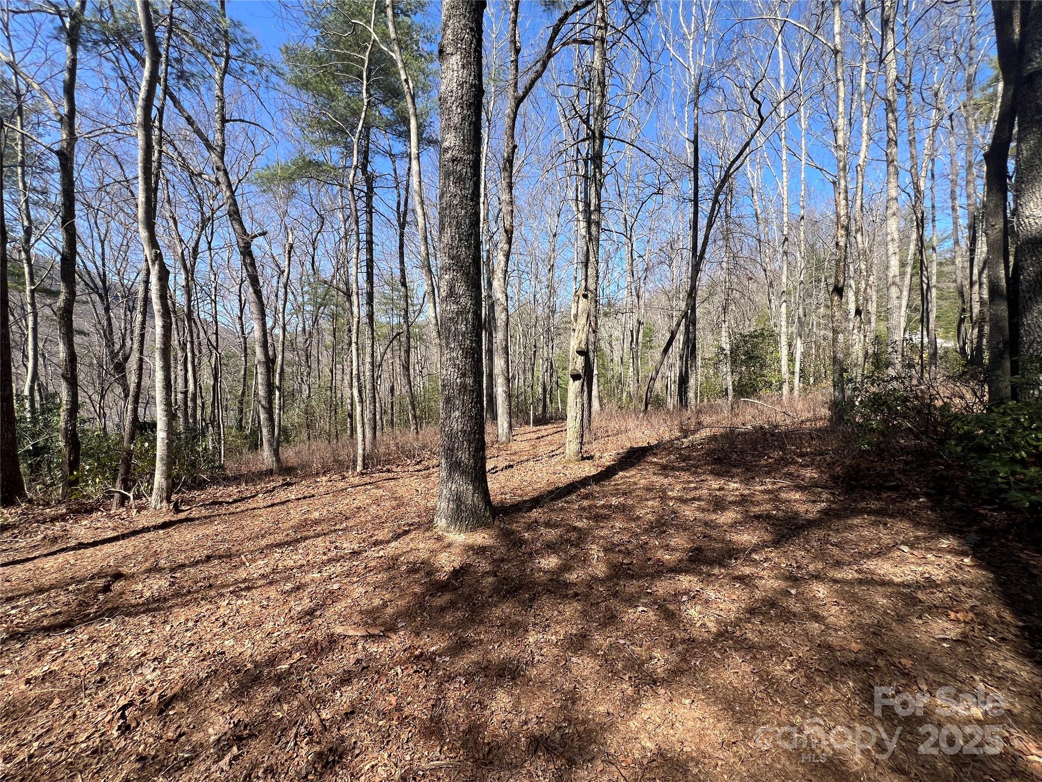 Tbd Panther Ridge Road Property Photo 11