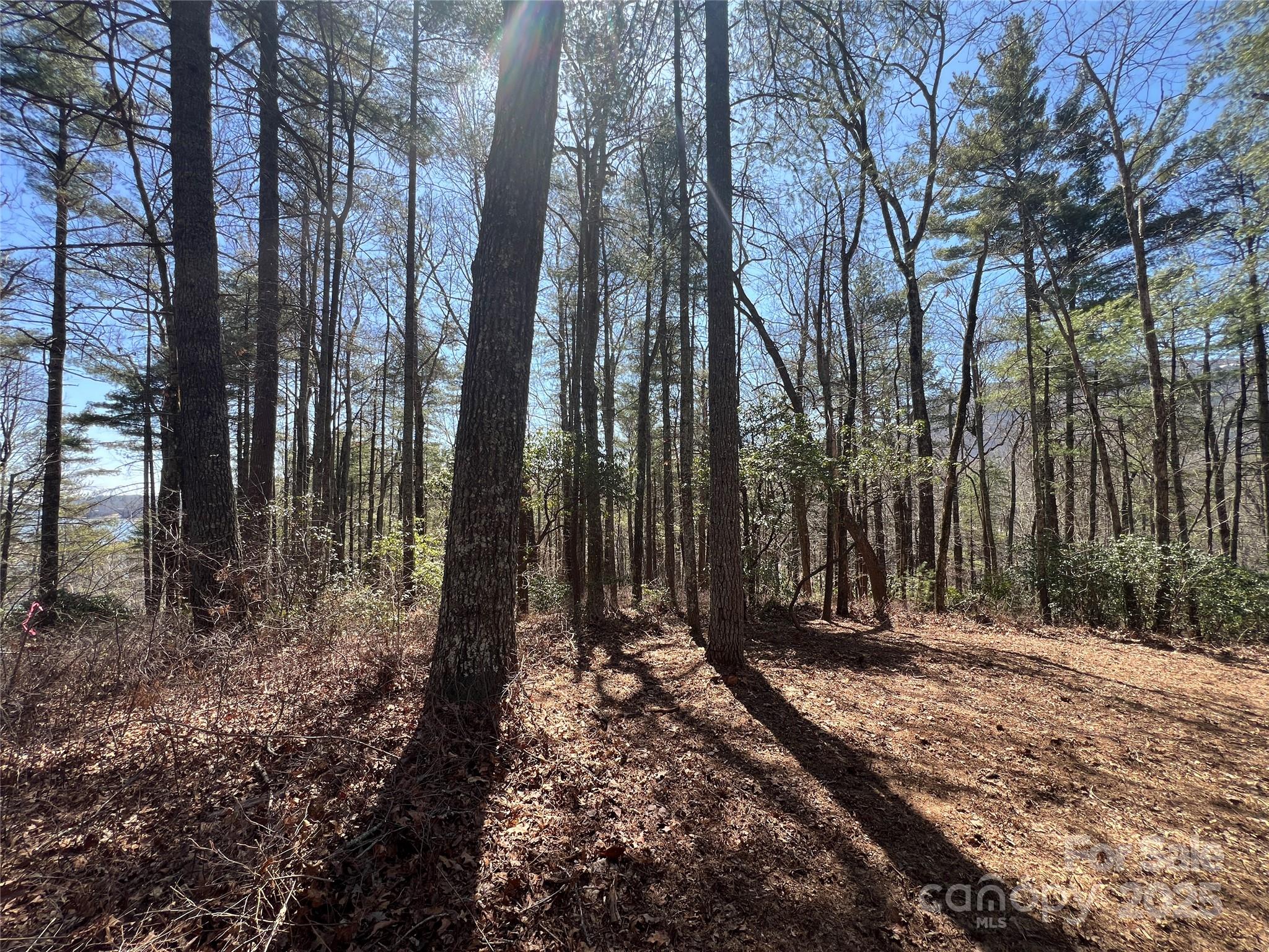 Tbd Panther Ridge Road Property Photo 12