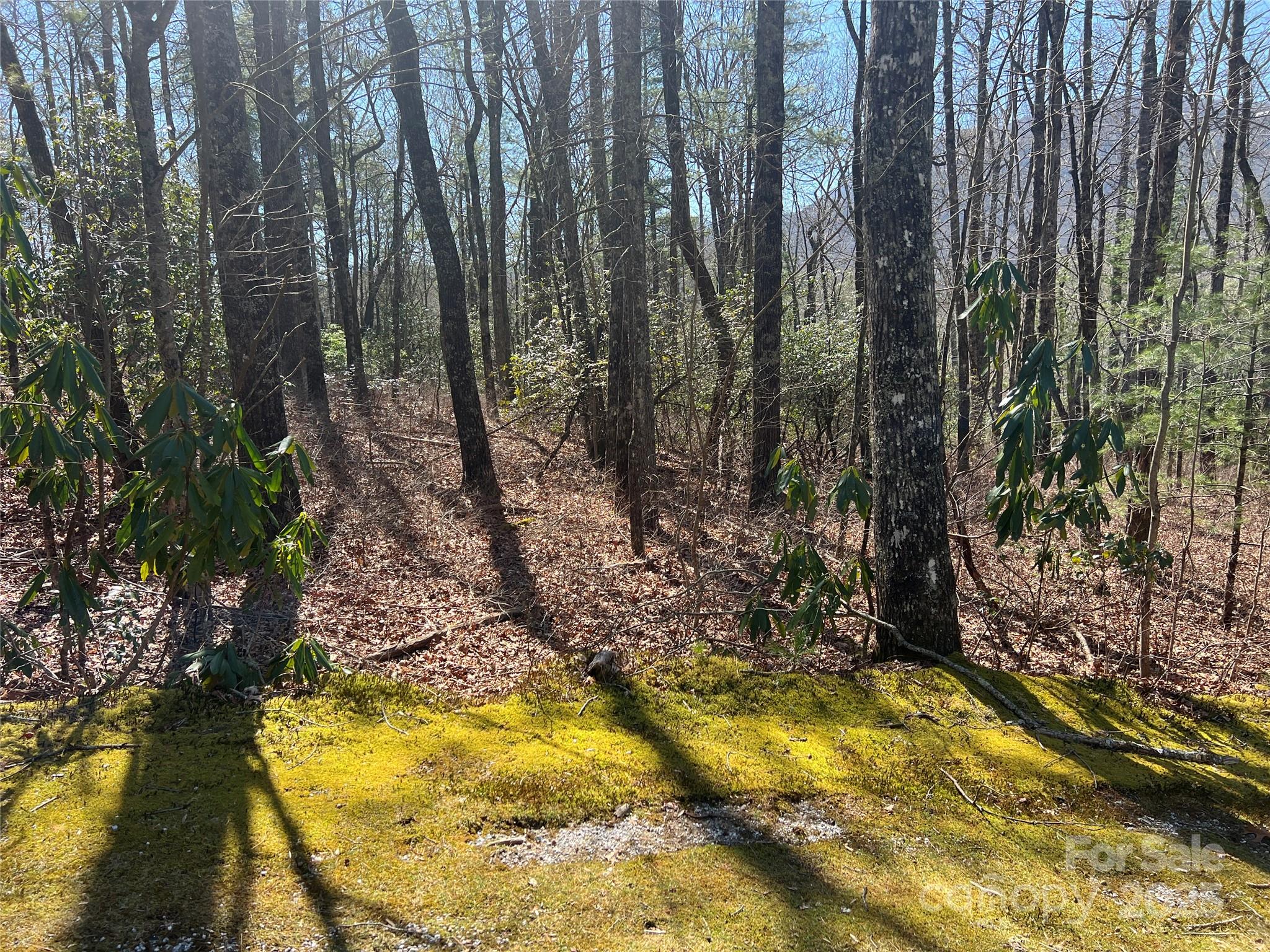 Tbd Panther Ridge Road Property Photo 14