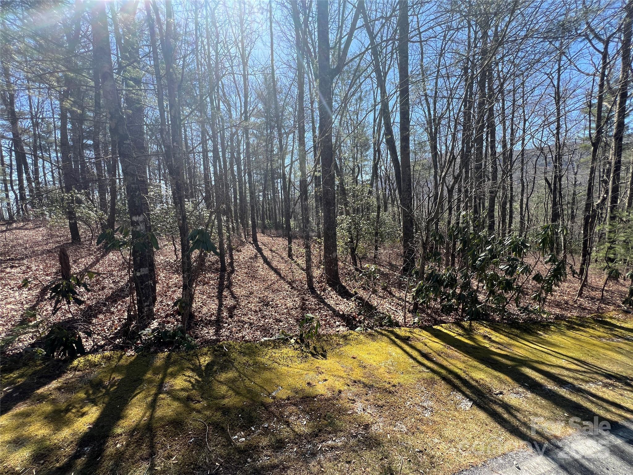 Tbd Panther Ridge Road Property Photo 15