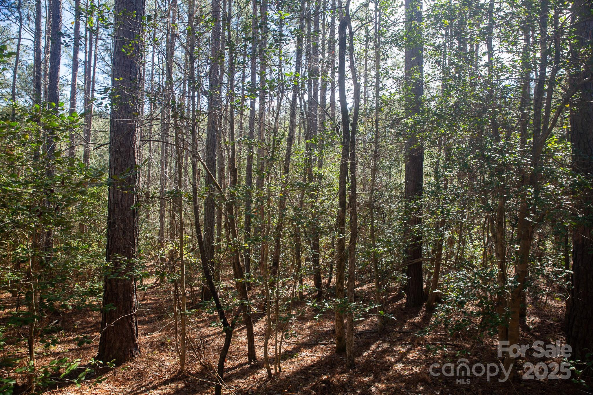4155 Persimmon Road Property Photo
