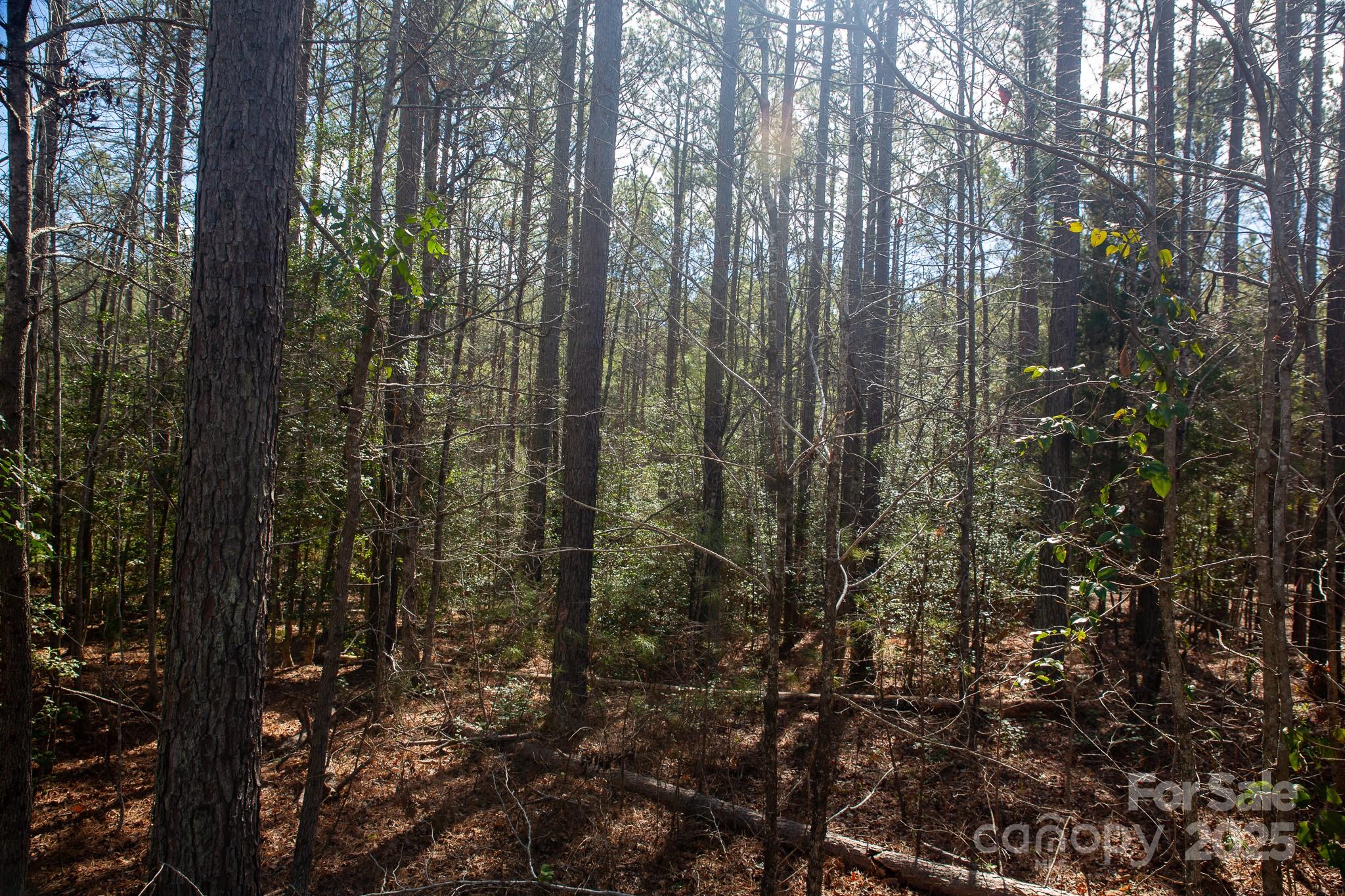 4155 Persimmon Road Property Photo 9