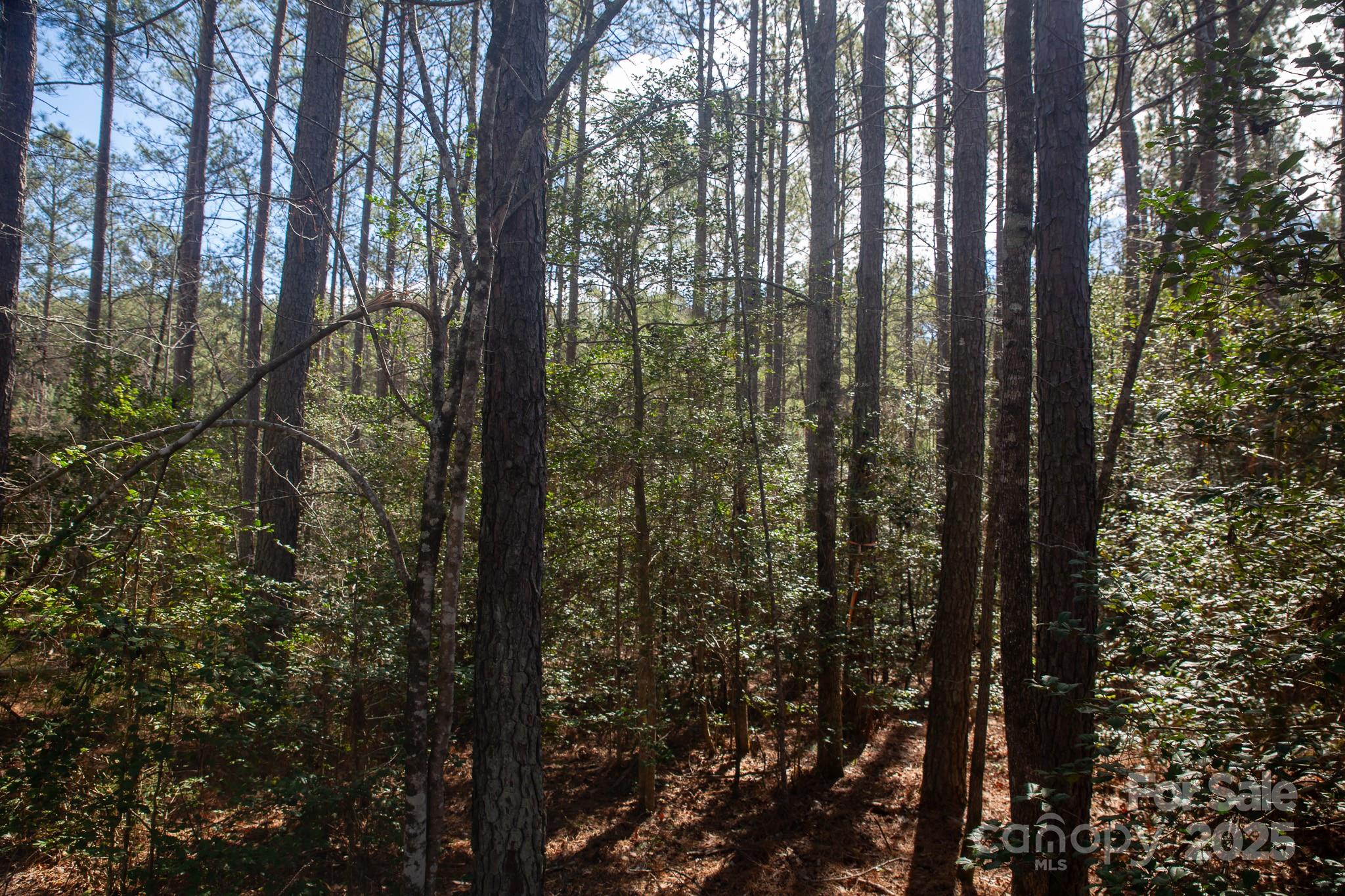 4155 Persimmon Road Property Photo 10