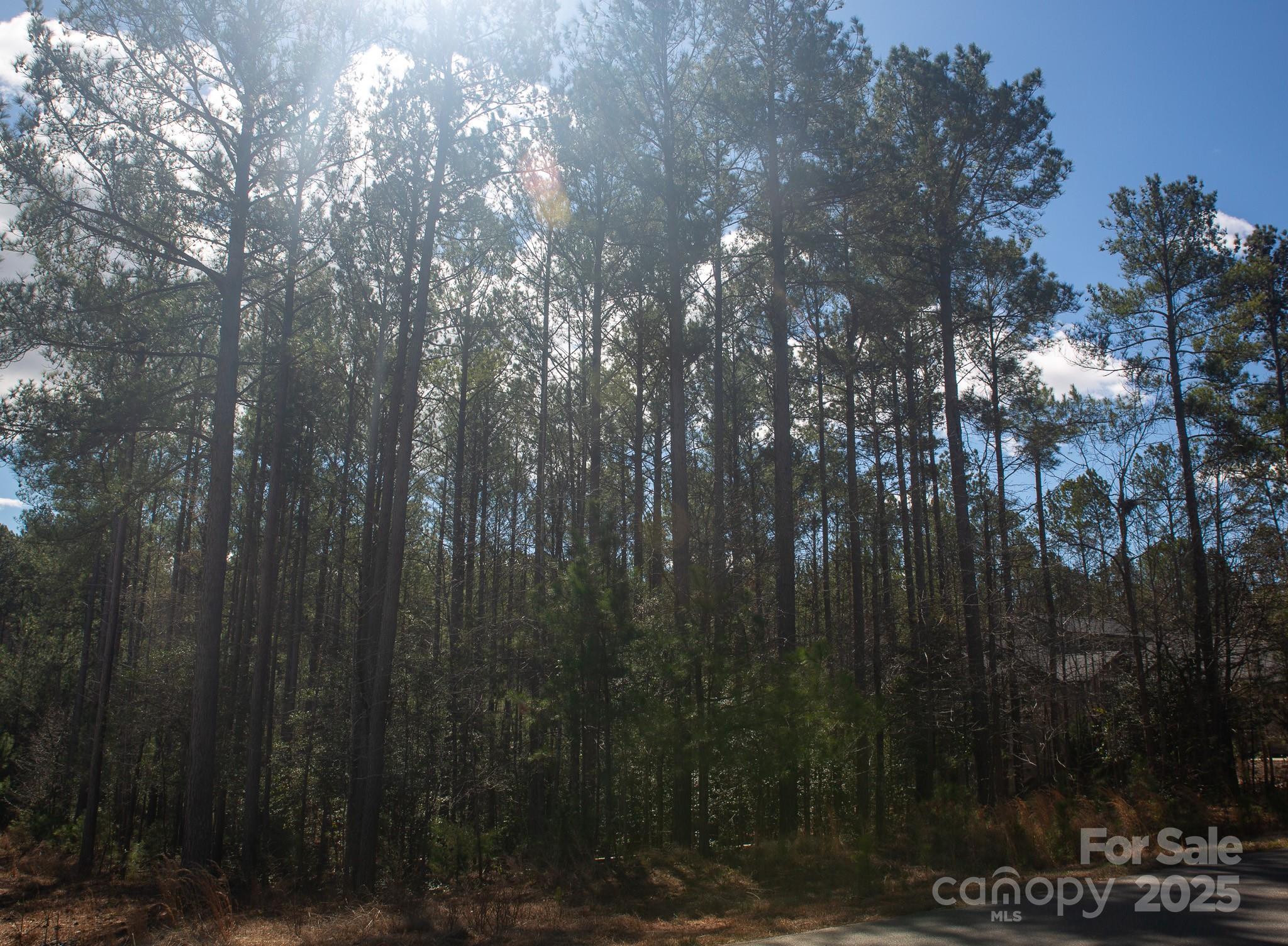4155 Persimmon Road Property Photo 11