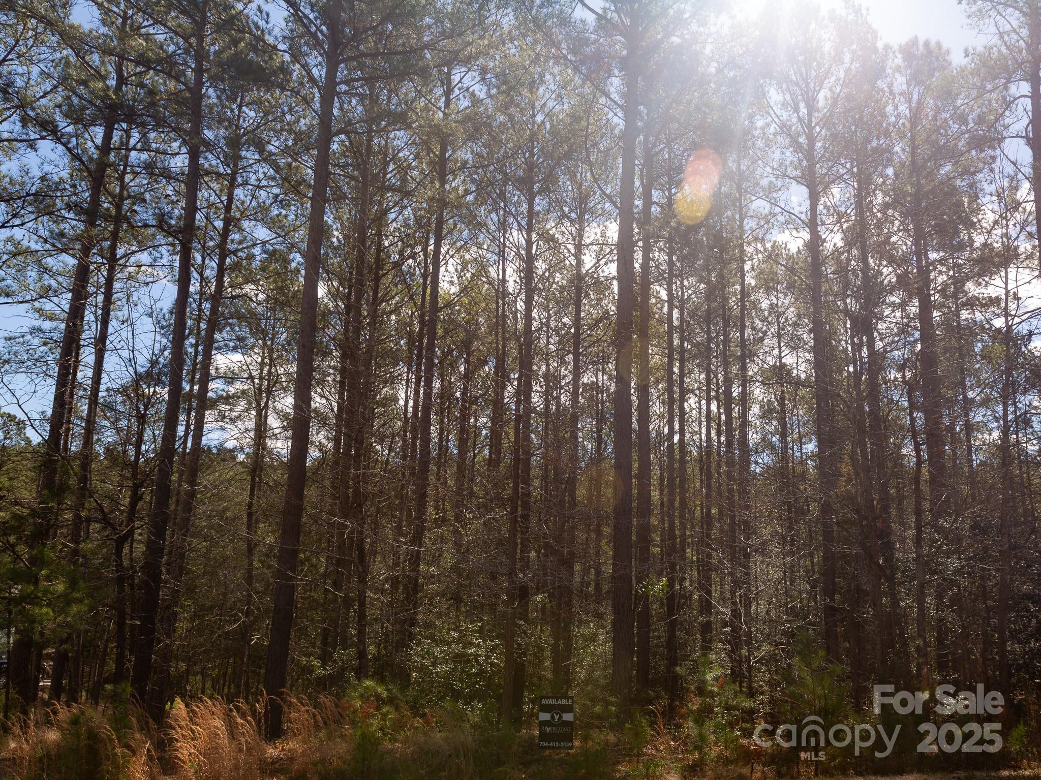 4155 Persimmon Road Property Photo 12