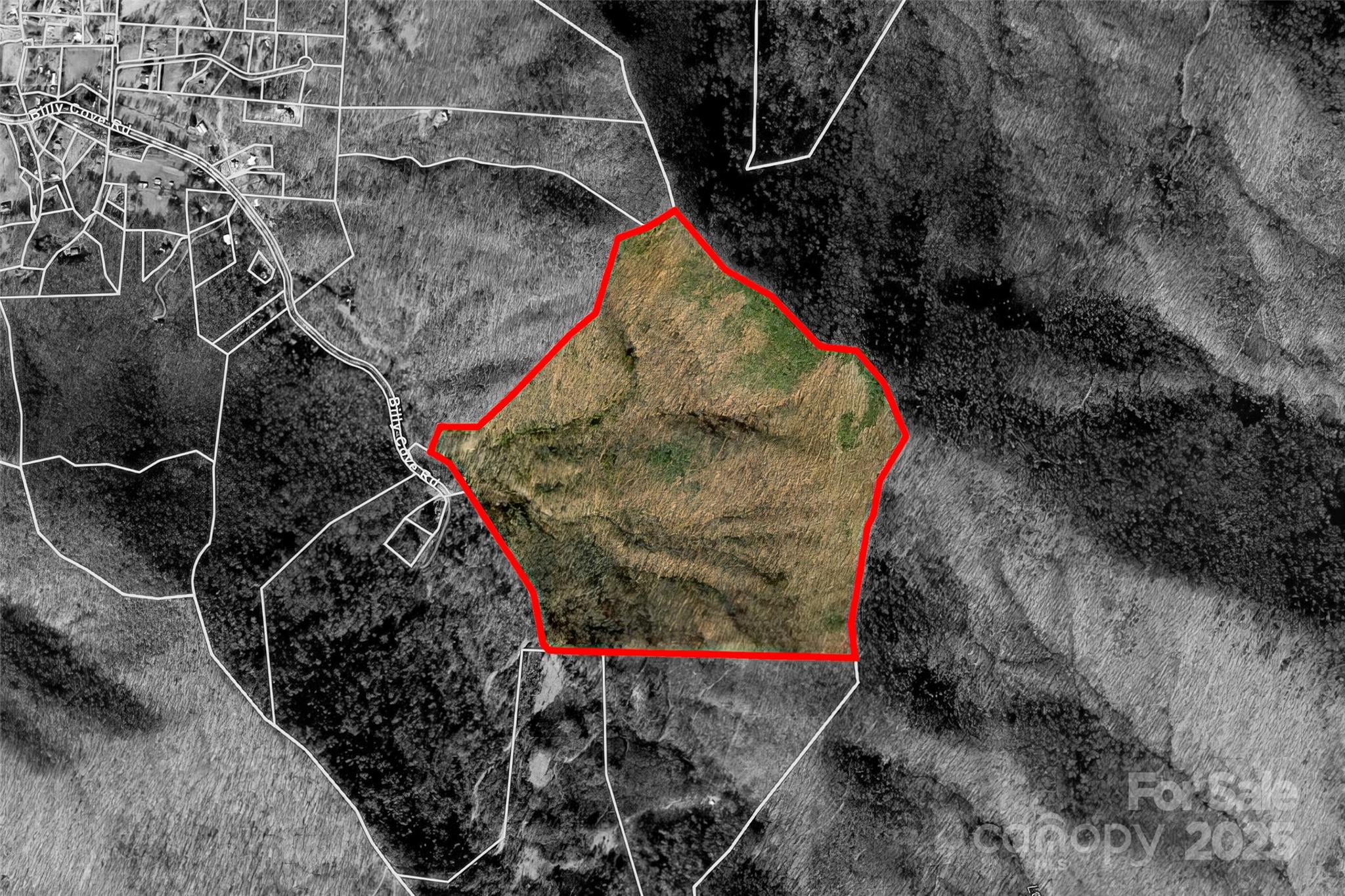 Tbd Billy Cove Road Property Photo 6