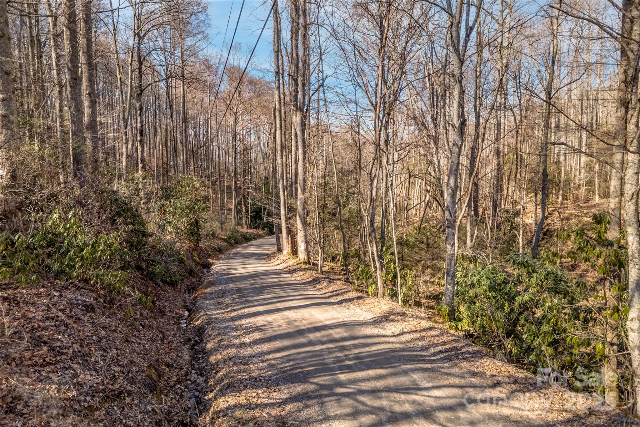 Tbd Billy Cove Road Property Photo 7