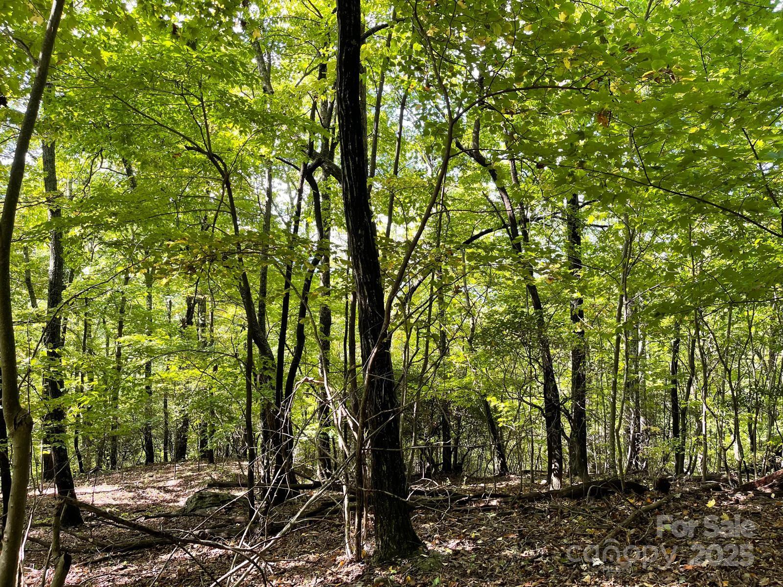 Tbd Billy Cove Road Property Photo 11