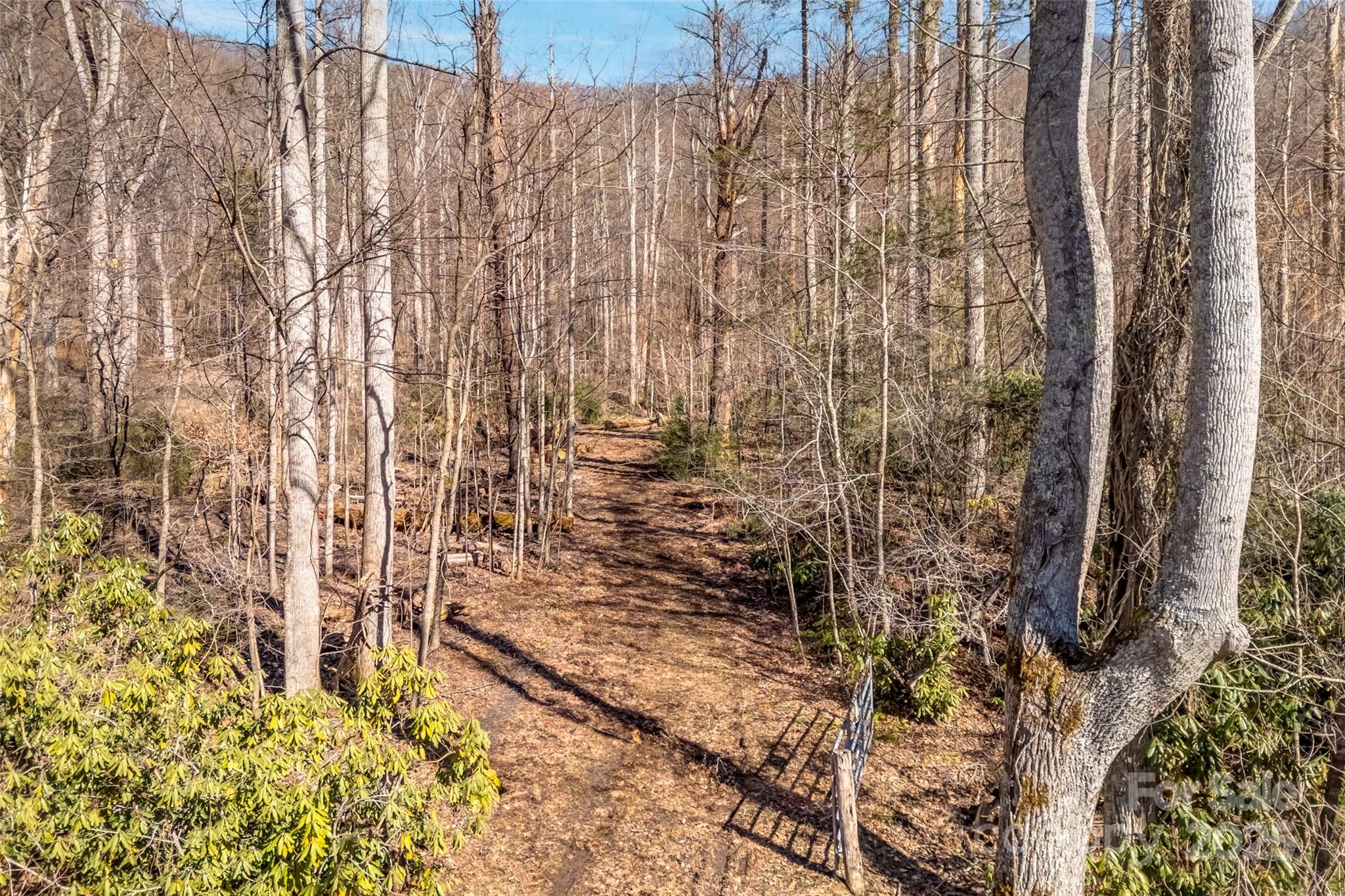 Tbd Billy Cove Road Property Photo 13