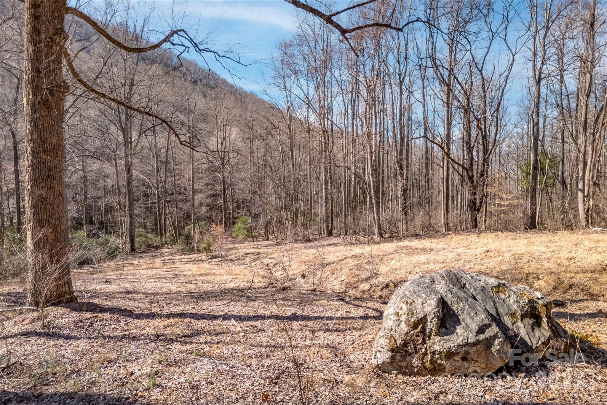 Tbd Billy Cove Road Property Photo 15