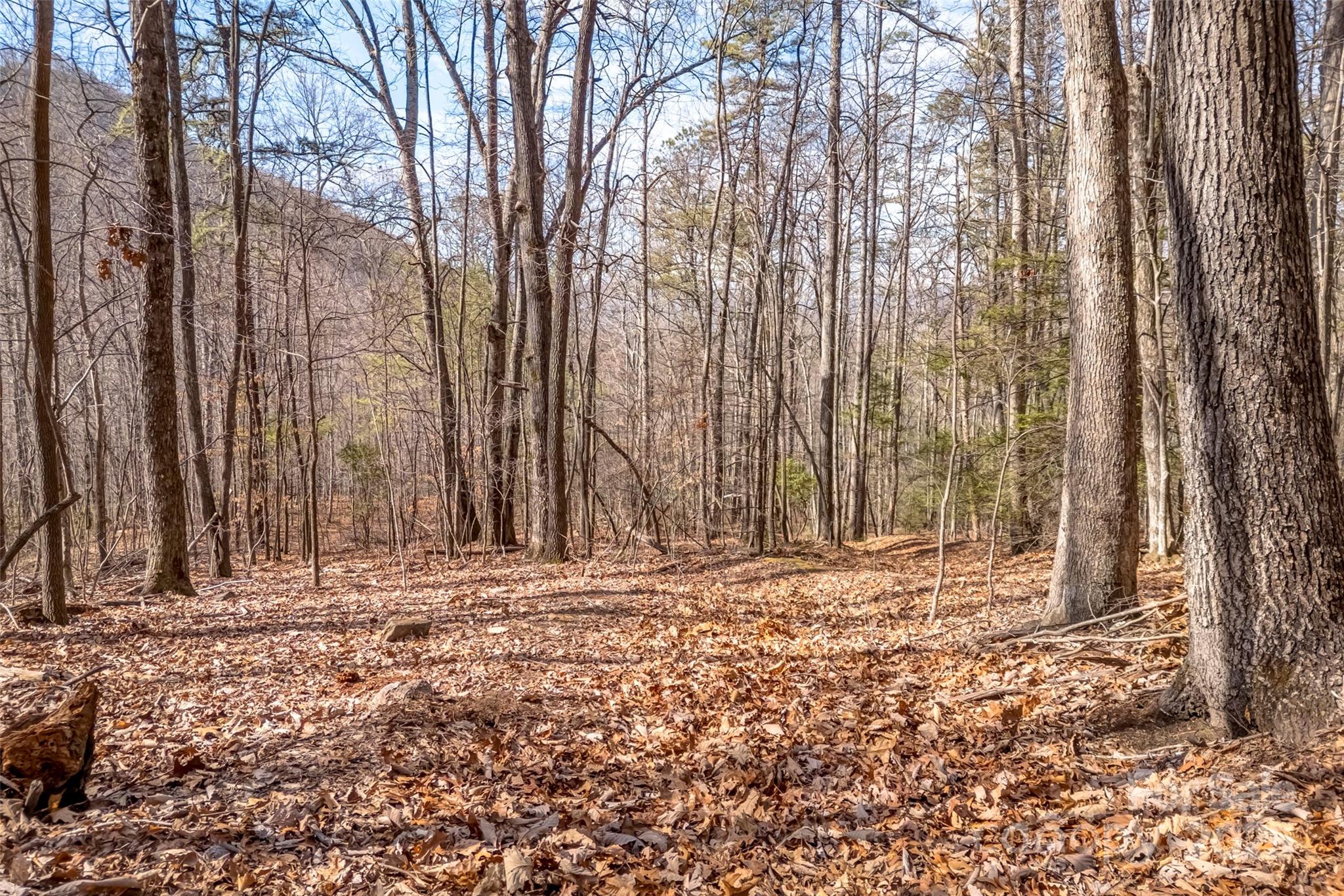 Tbd Billy Cove Road Property Photo 16