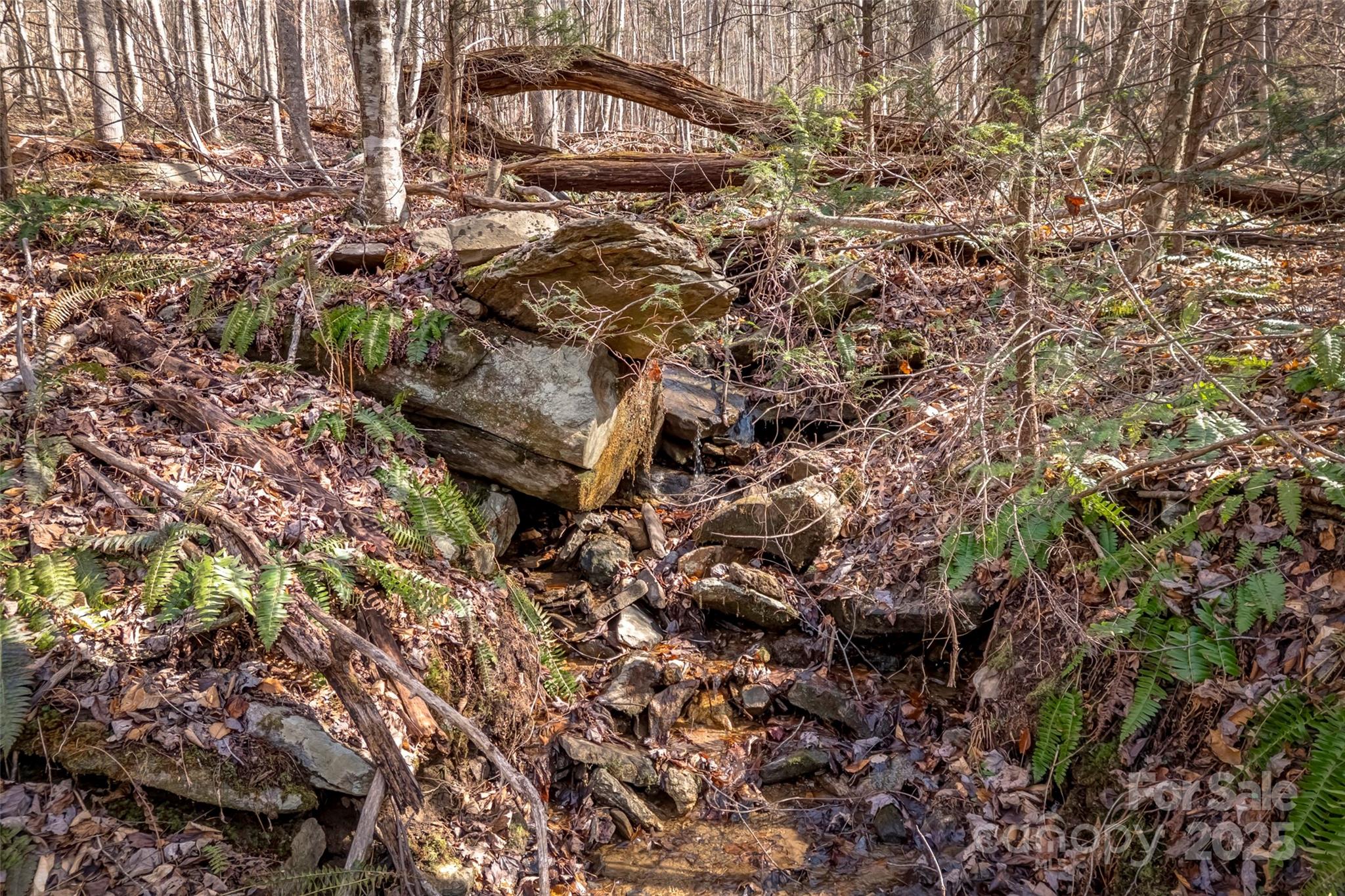 Tbd Billy Cove Road Property Photo 20