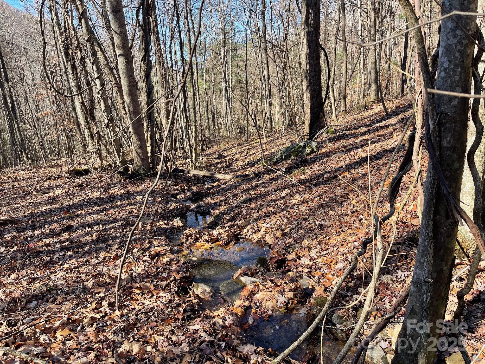 Tbd Billy Cove Road Property Photo 31