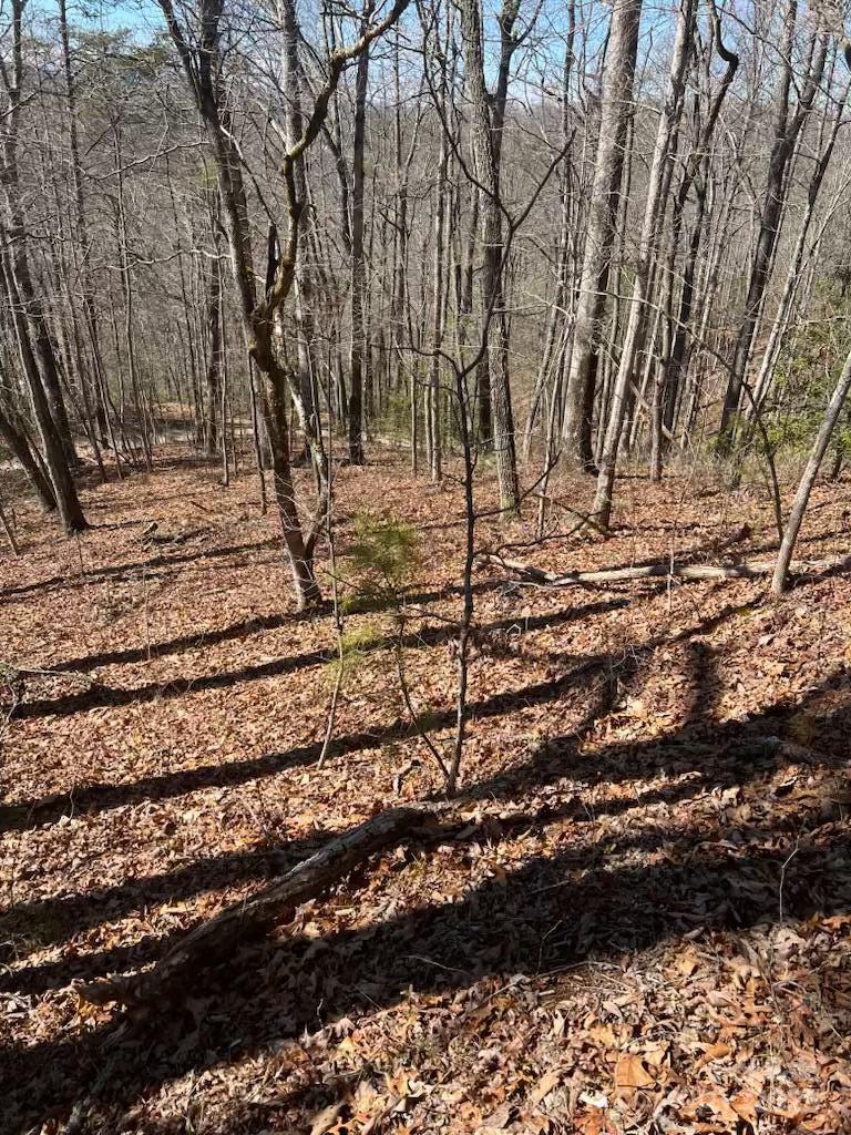00 Timberland Trail Property Photo