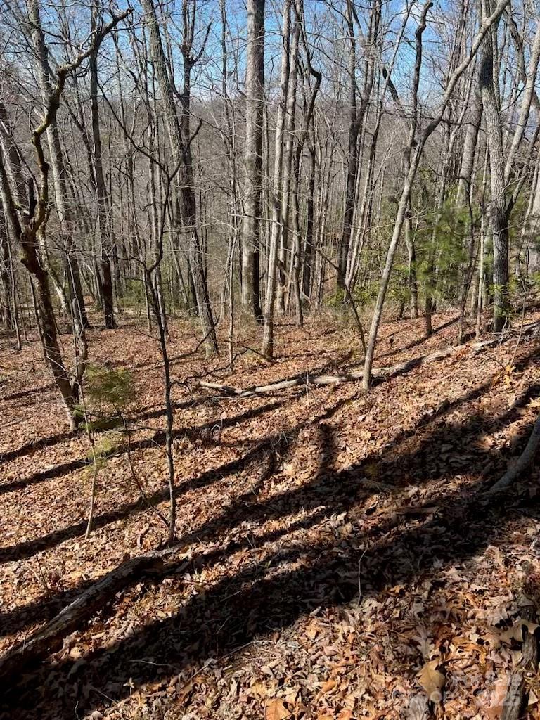 00 Timberland Trail Property Photo 2