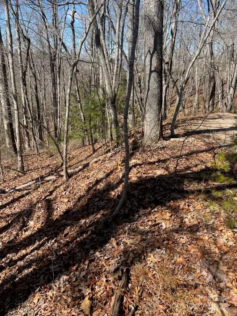 00 Timberland Trail Property Photo 3