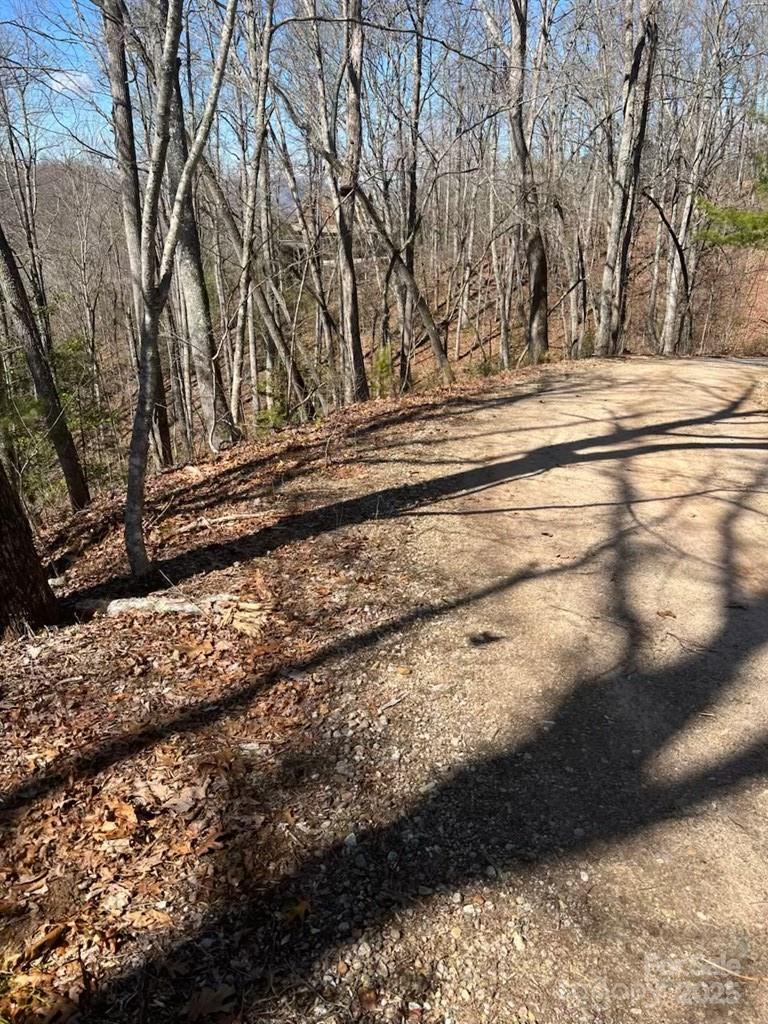 00 Timberland Trail Property Photo 4