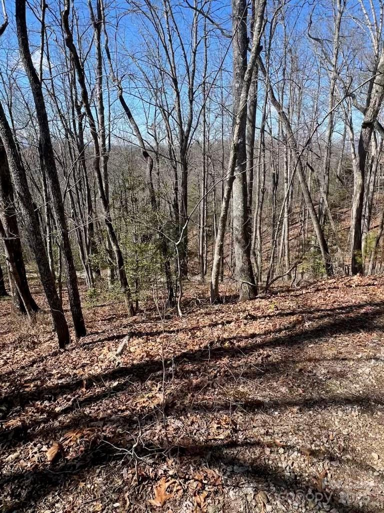 00 Timberland Trail Property Photo 6