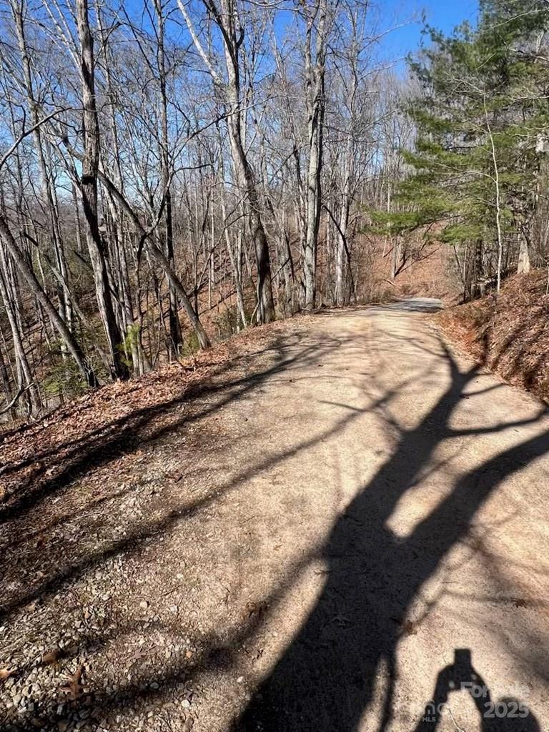 00 Timberland Trail Property Photo 7