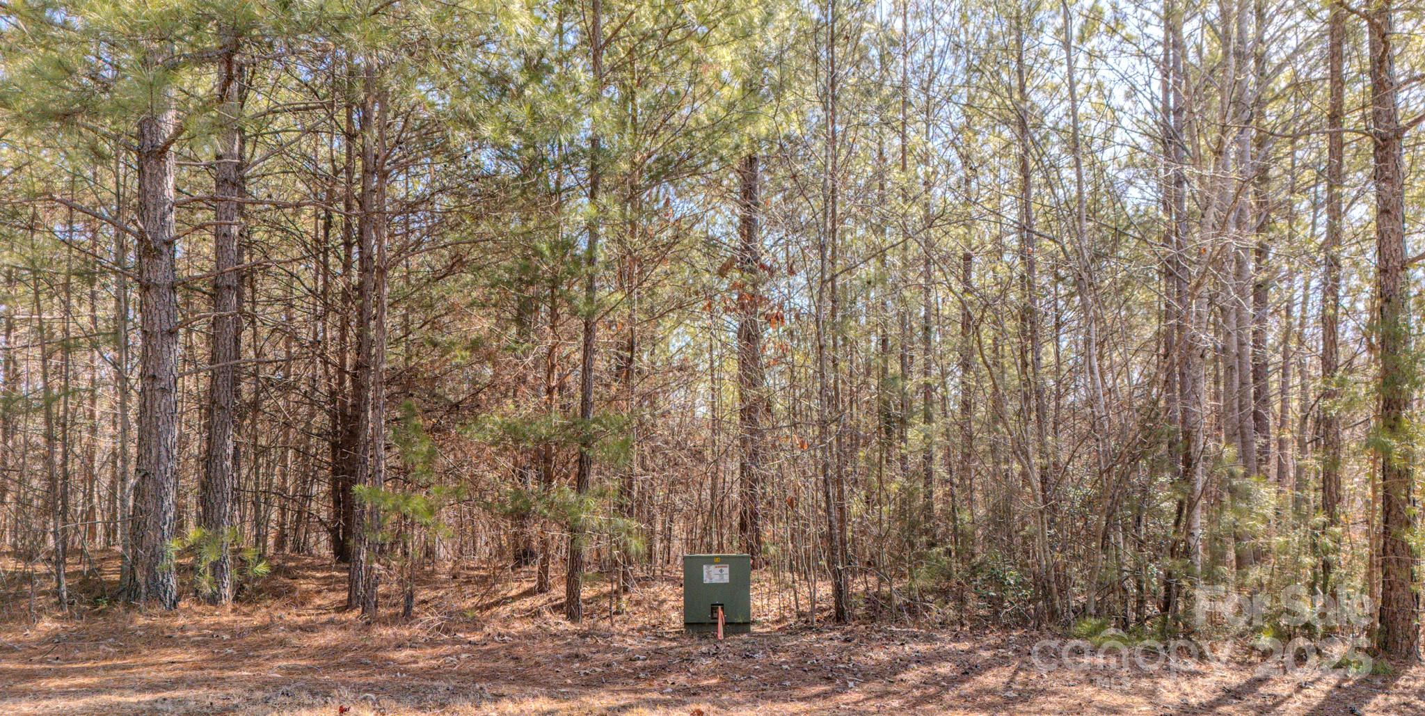 0 Cross Creek Drive 261 Property Photo 4
