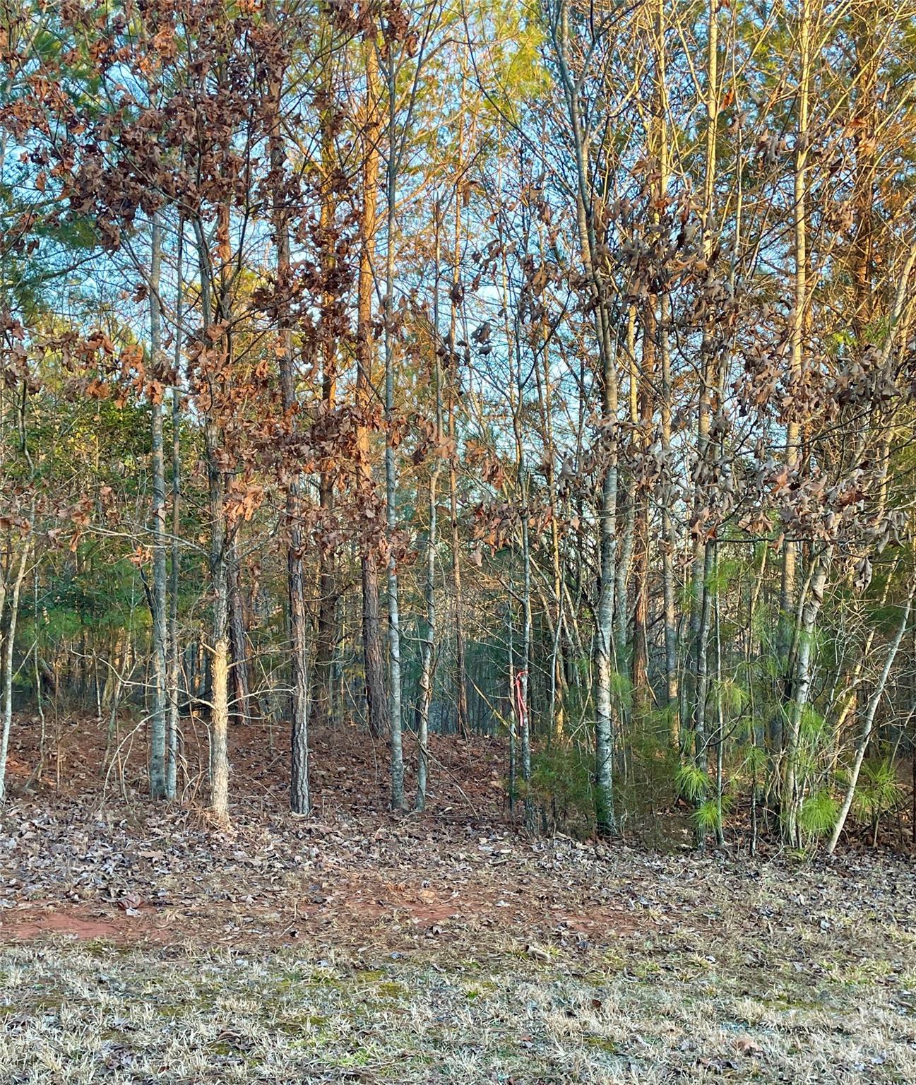 0 Cross Creek Drive 261 Property Photo 14