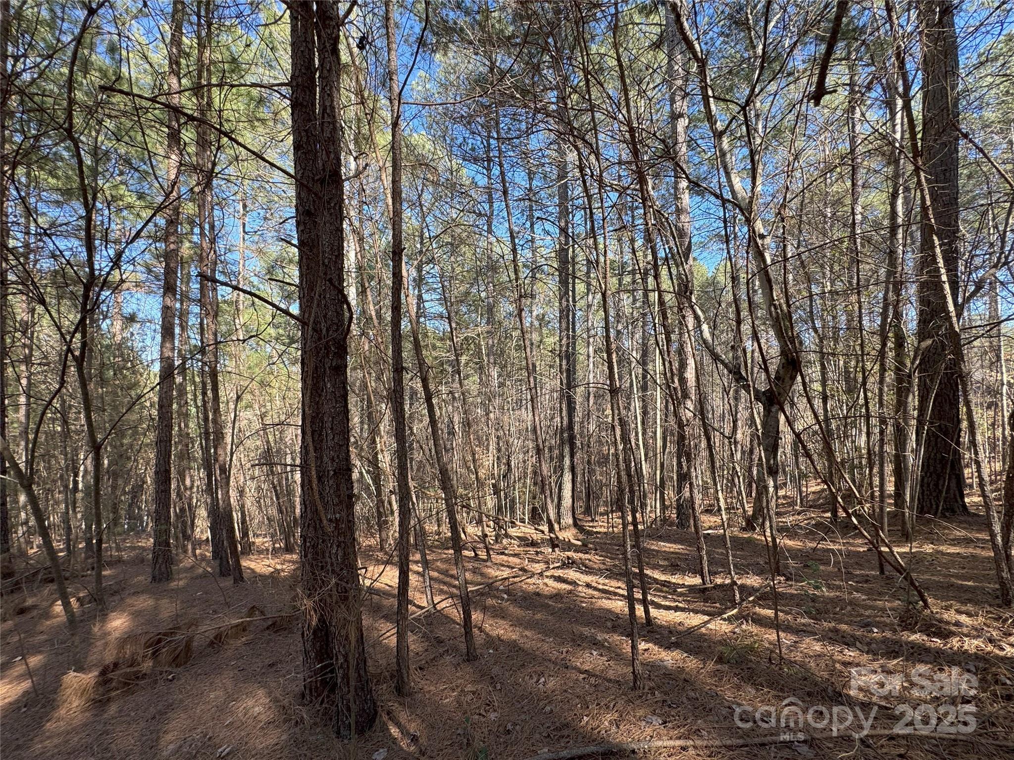 5582 Bridgewater Drive Property Photo 4