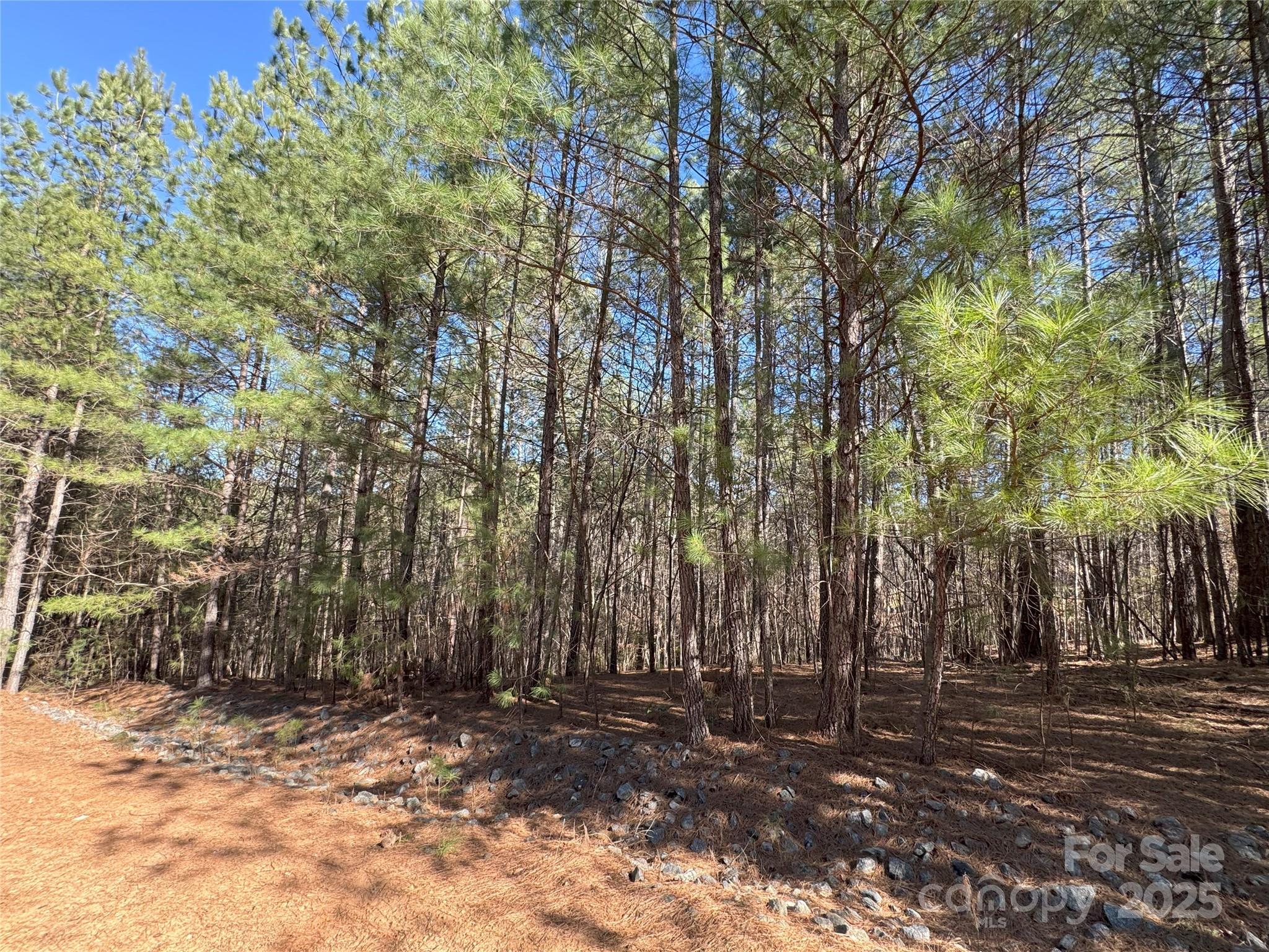 5582 Bridgewater Drive Property Photo 6