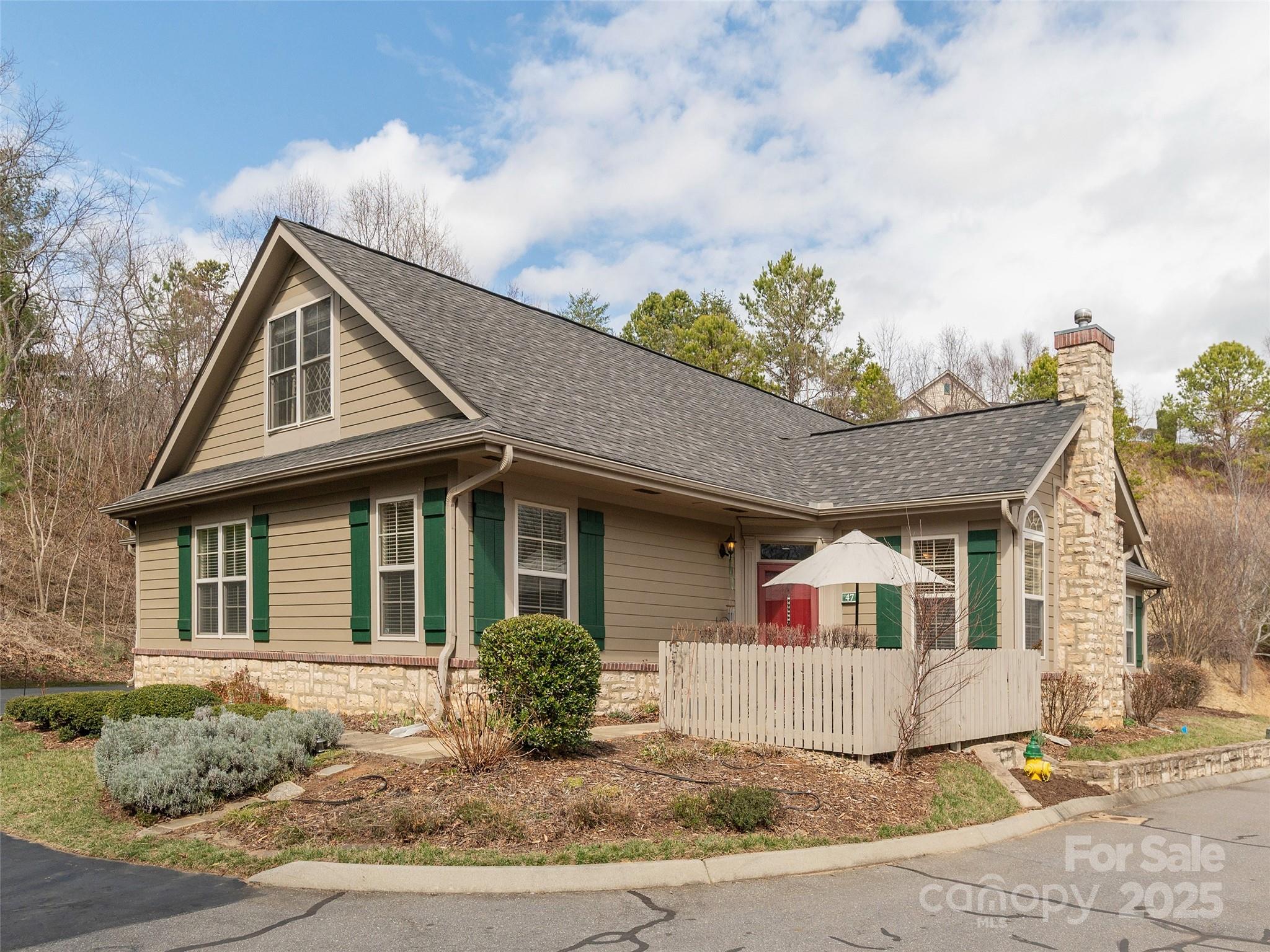 47 Craggy Vista Drive Property Photo