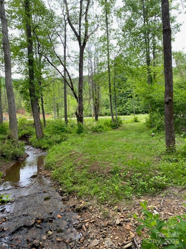 0 Pine Needle Lane Property Photo