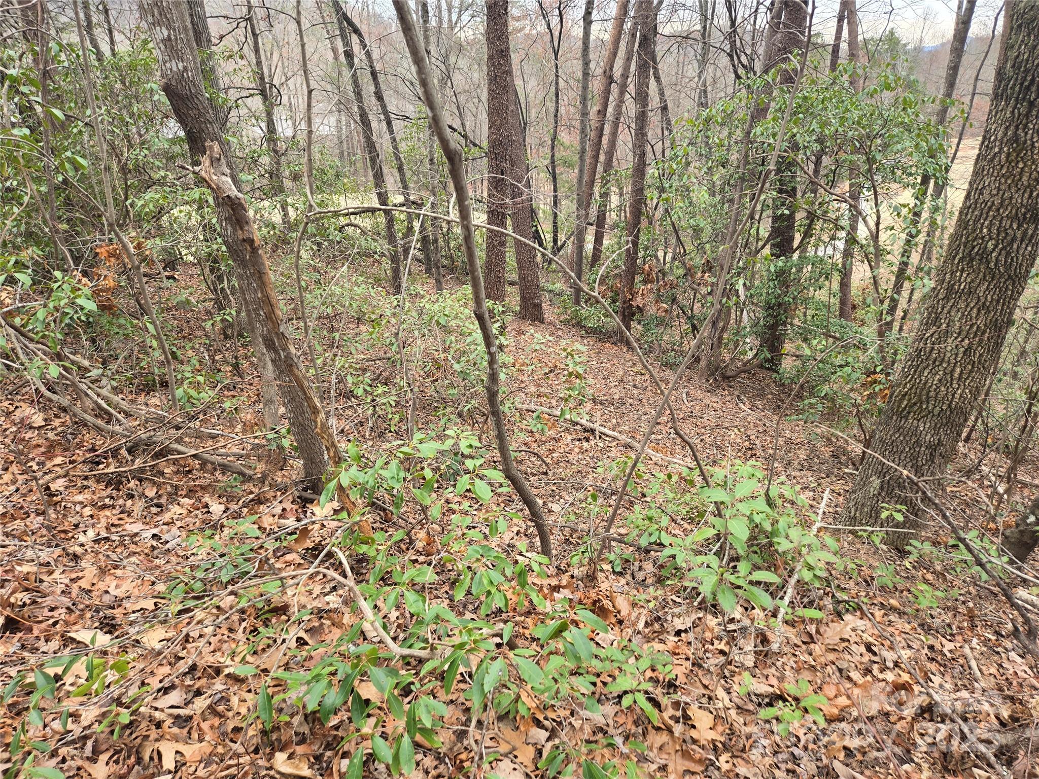Lot 28 Roundabout Road Property Photo 2