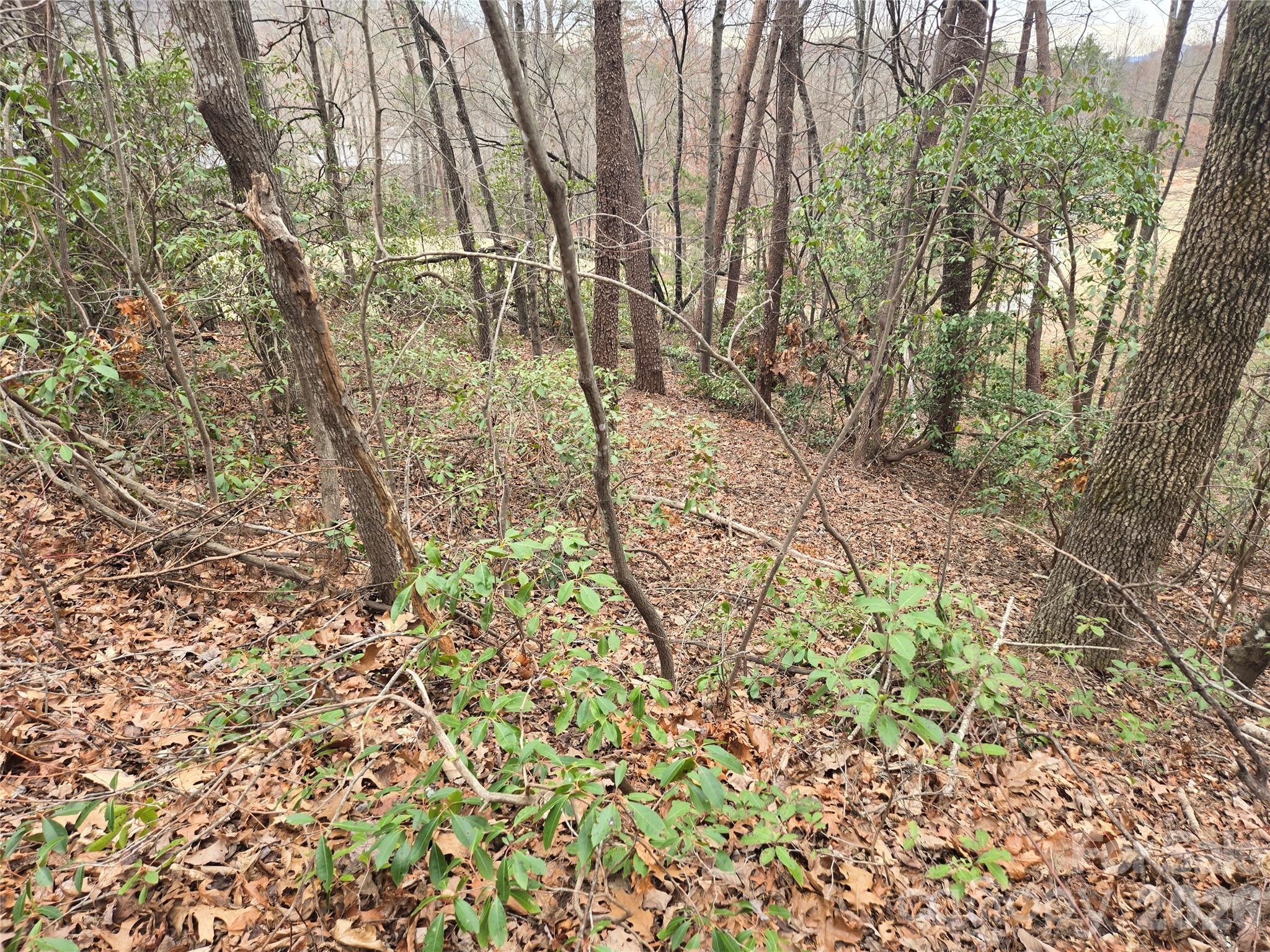 Lot 28 Roundabout Road Property Photo 3