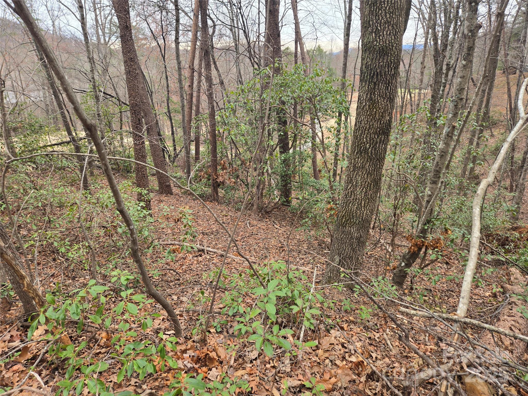 Lot 28 Roundabout Road Property Photo 4