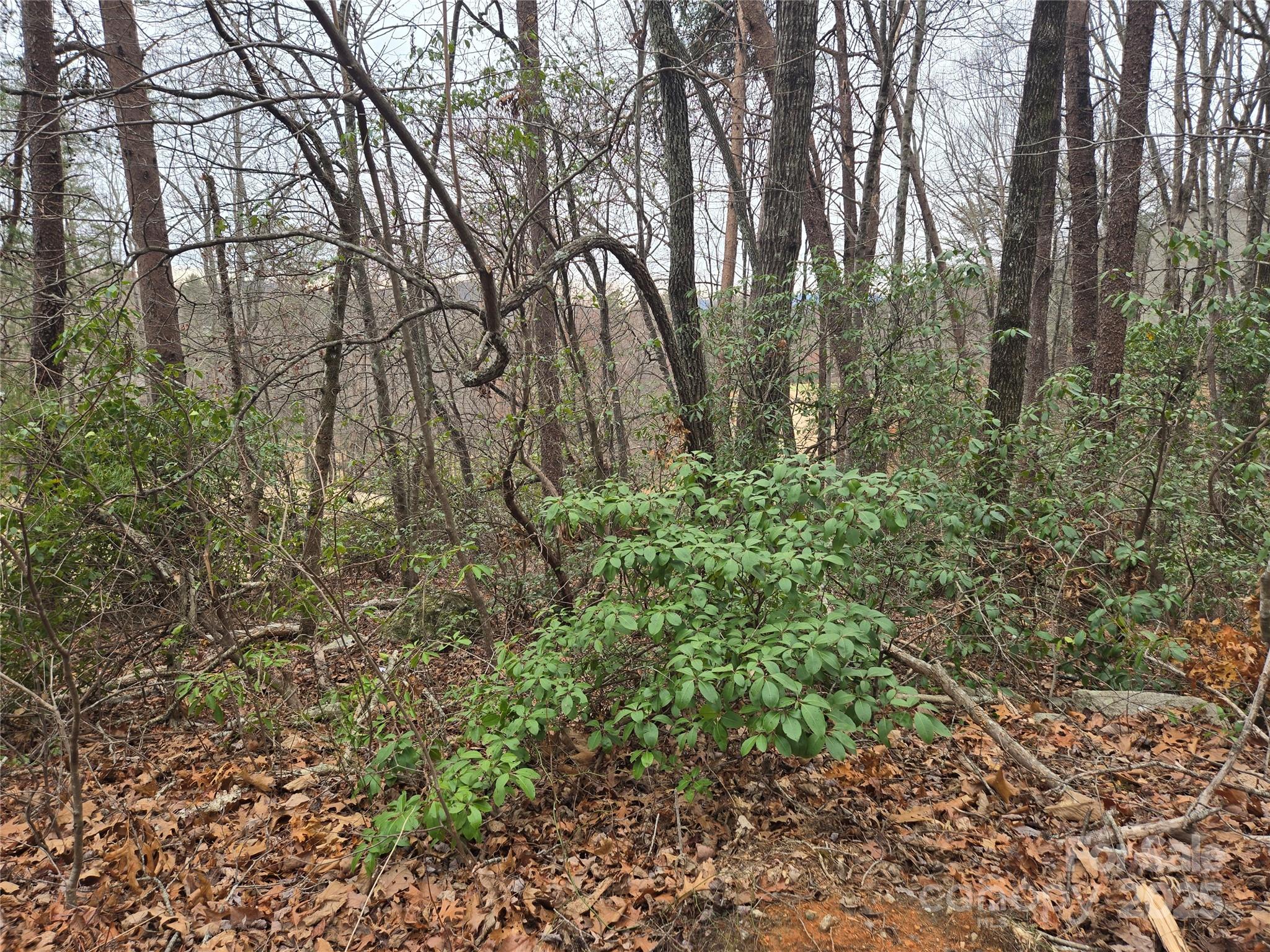 Lot 28 Roundabout Road Property Photo 5