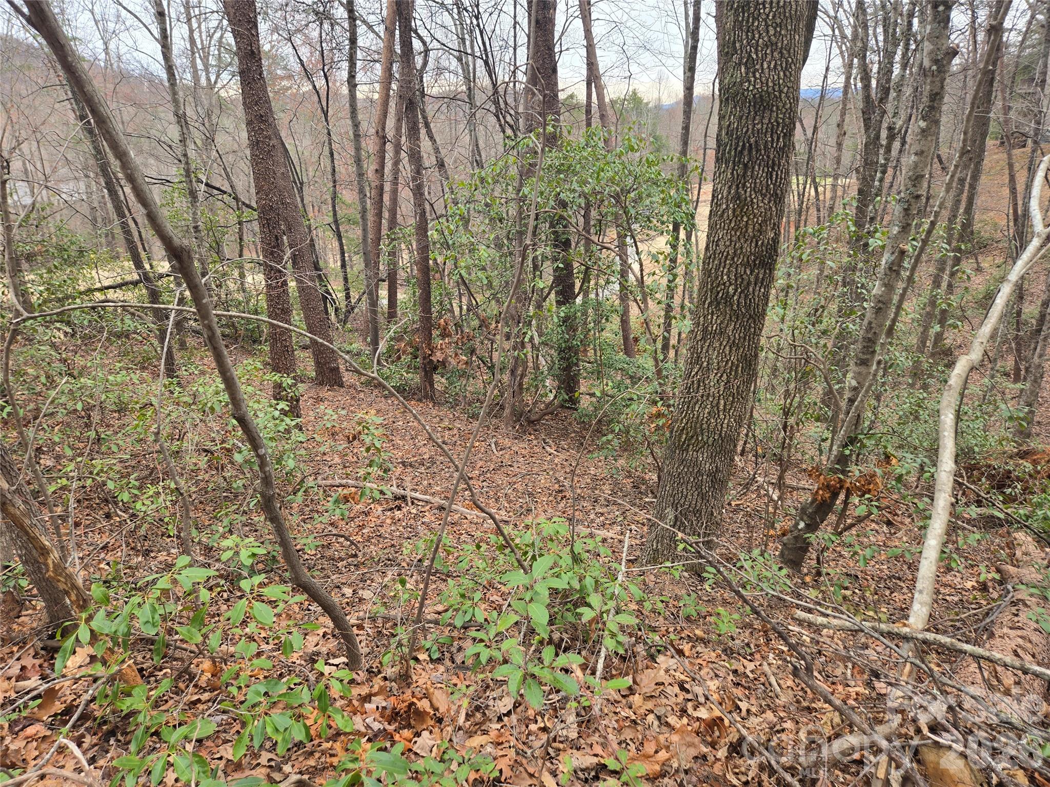 Lot 28 Roundabout Road Property Photo 5