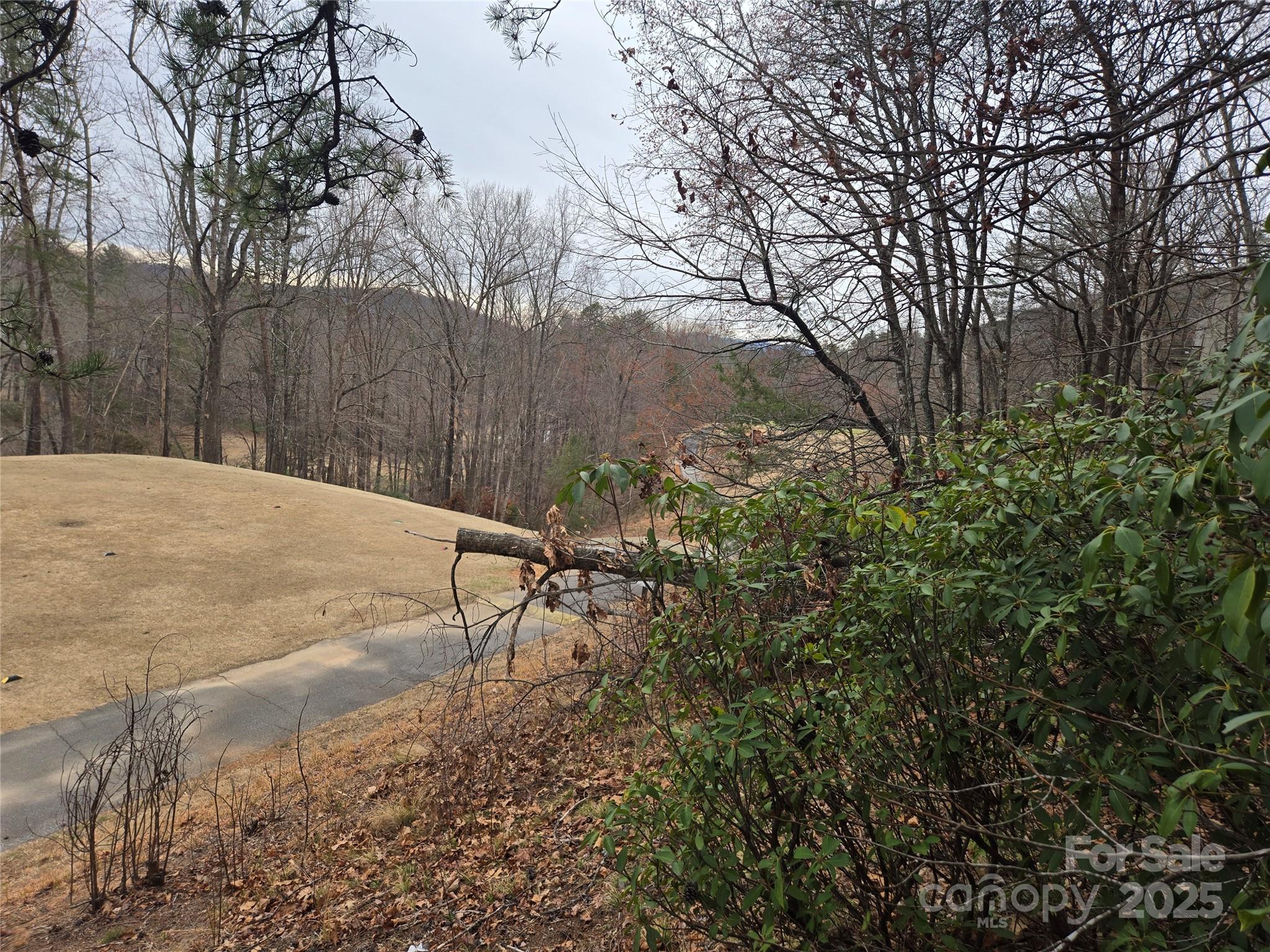 Lot 28 Roundabout Road Property Photo 6