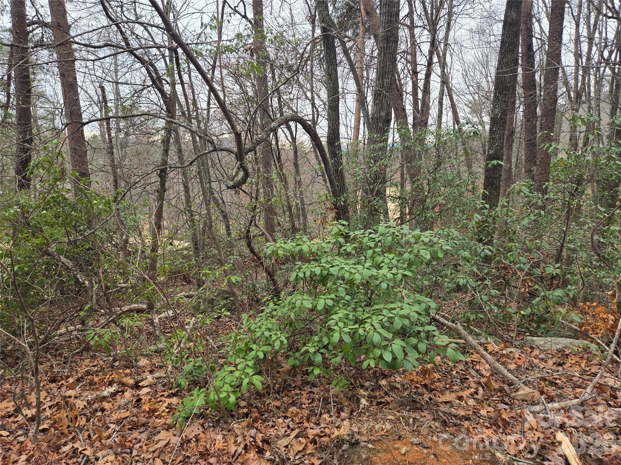 Lot 28 Roundabout Road Property Photo 6