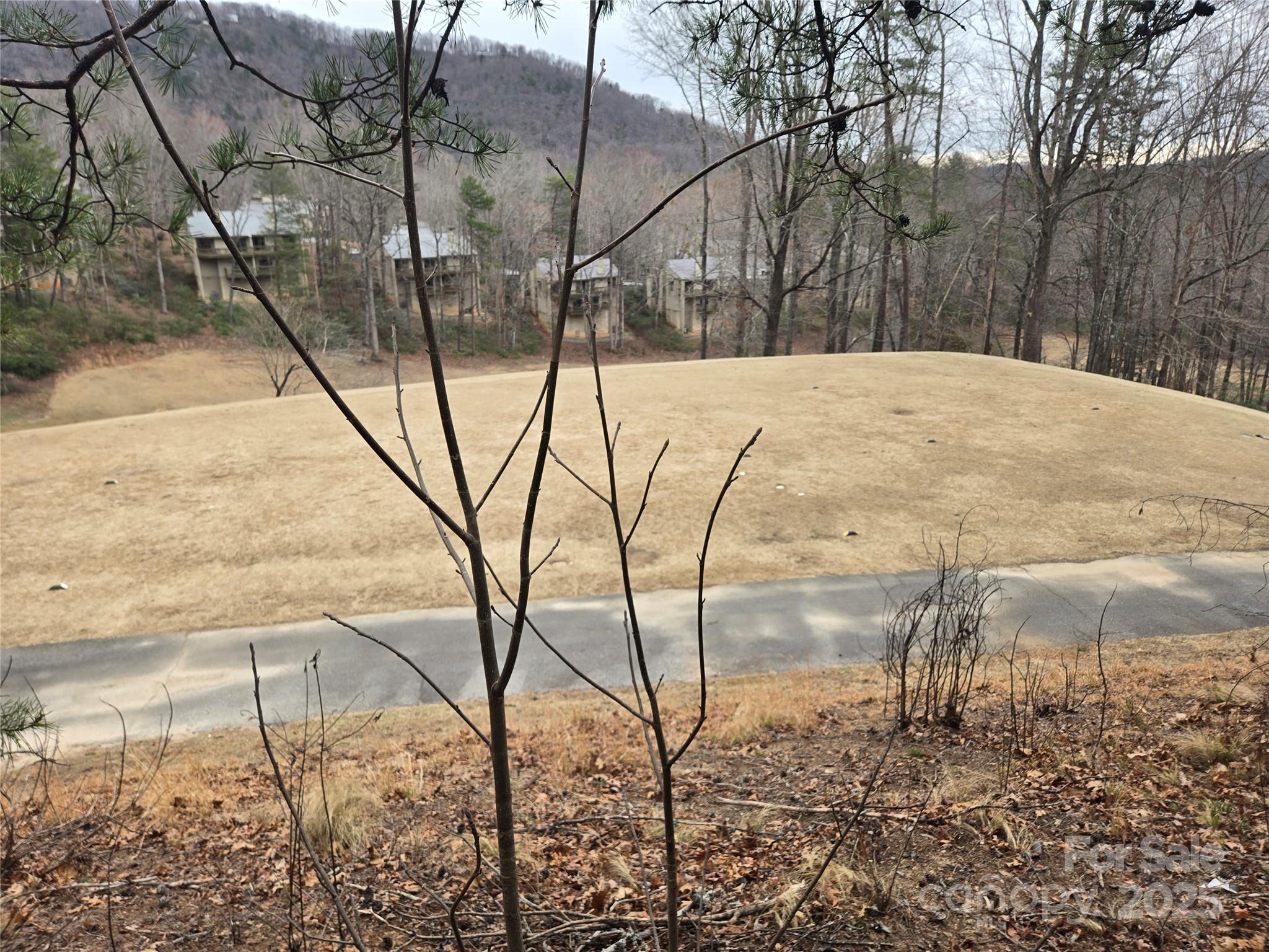 Lot 28 Roundabout Road Property Photo 7