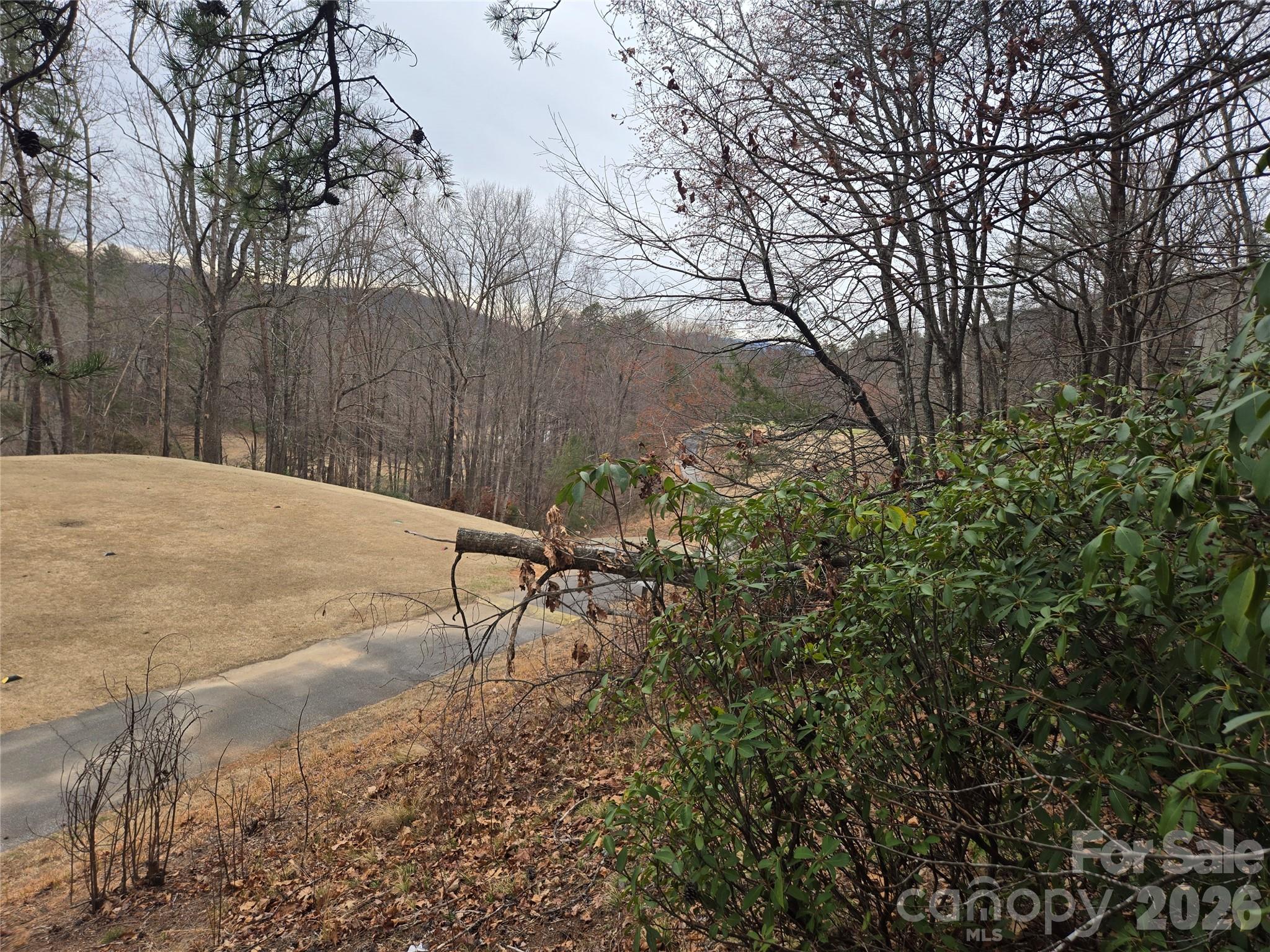 Lot 28 Roundabout Road Property Photo 7