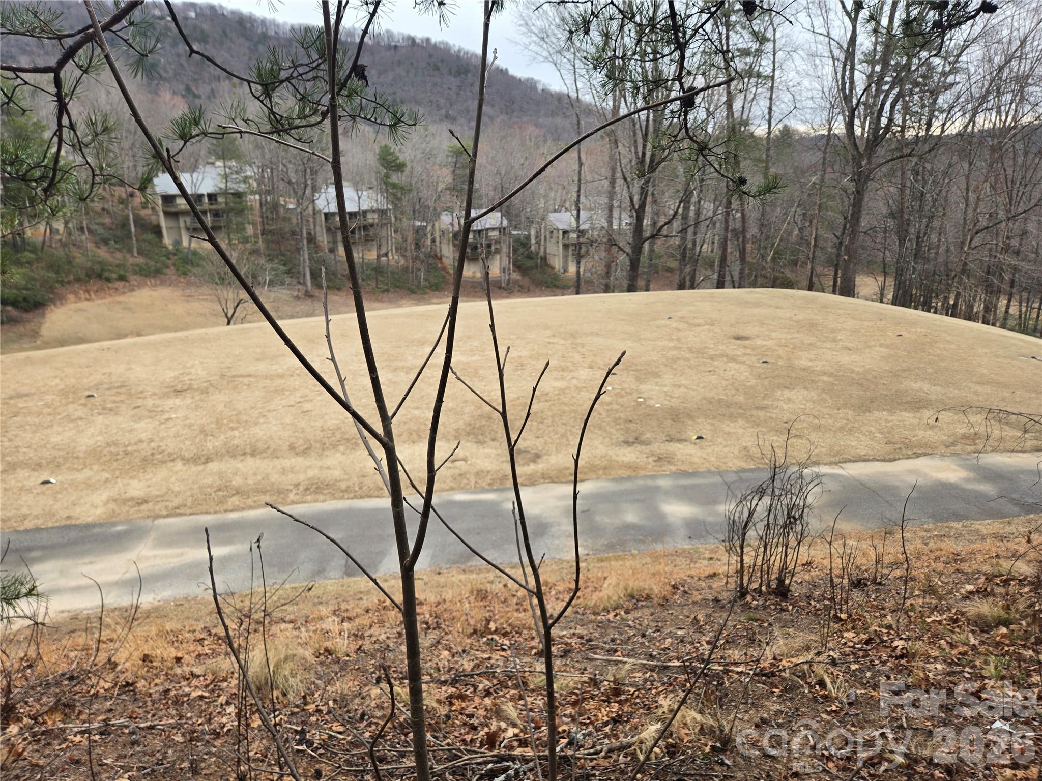 Lot 28 Roundabout Road Property Photo 8