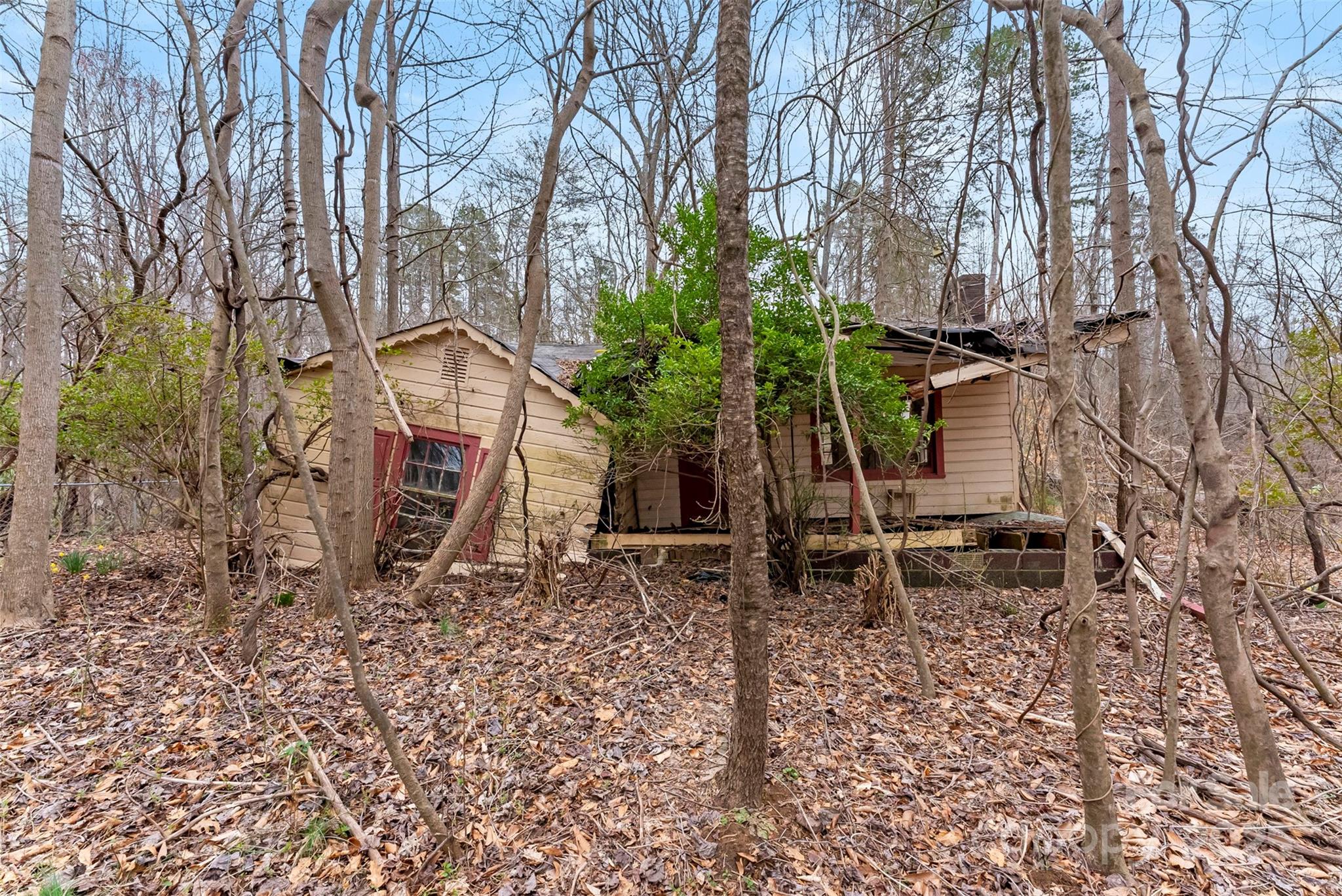 123 Lee Mccurry Road Property Photo