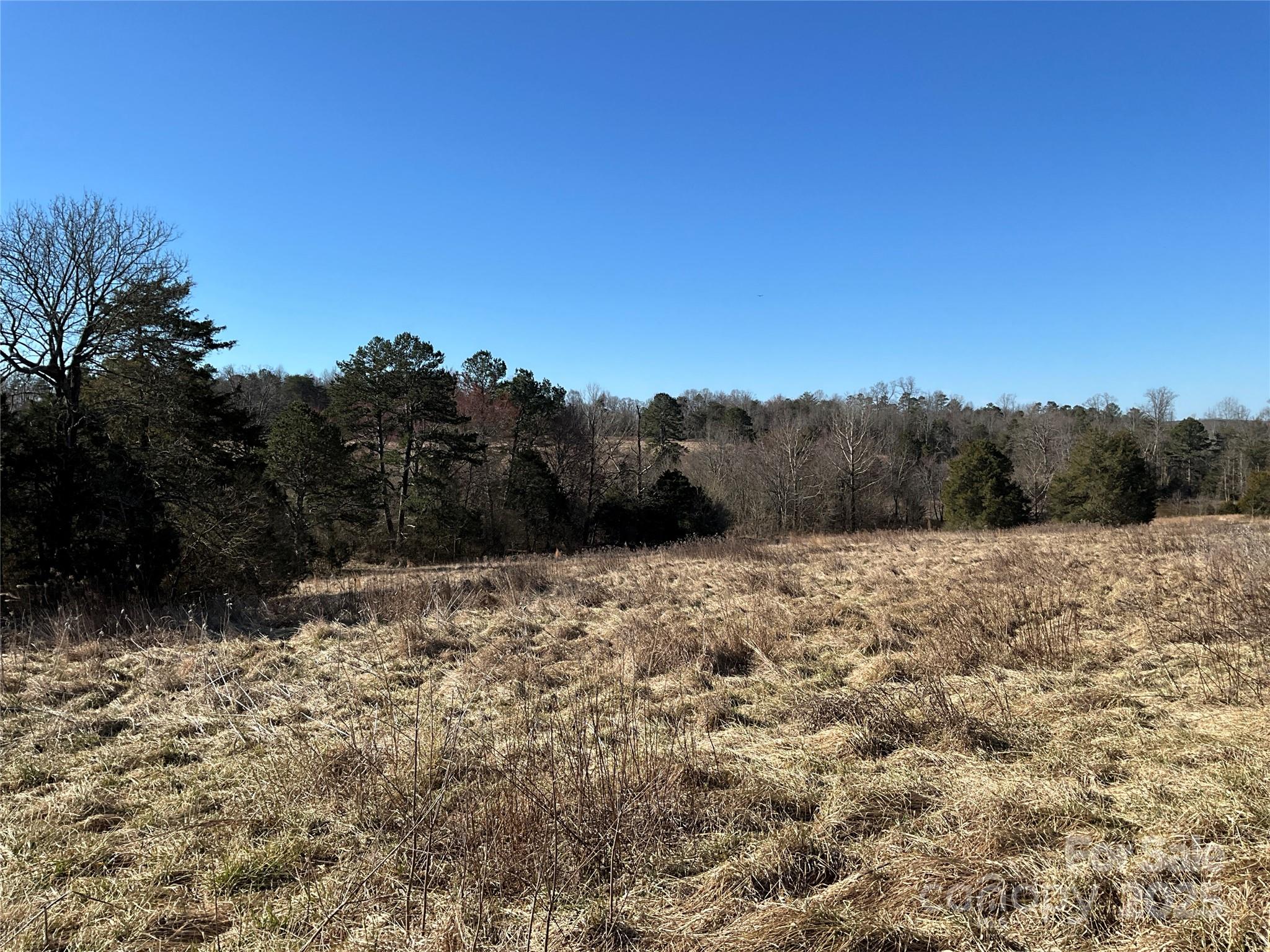 11.75 Acres Sulphur Springs Road Property Photo