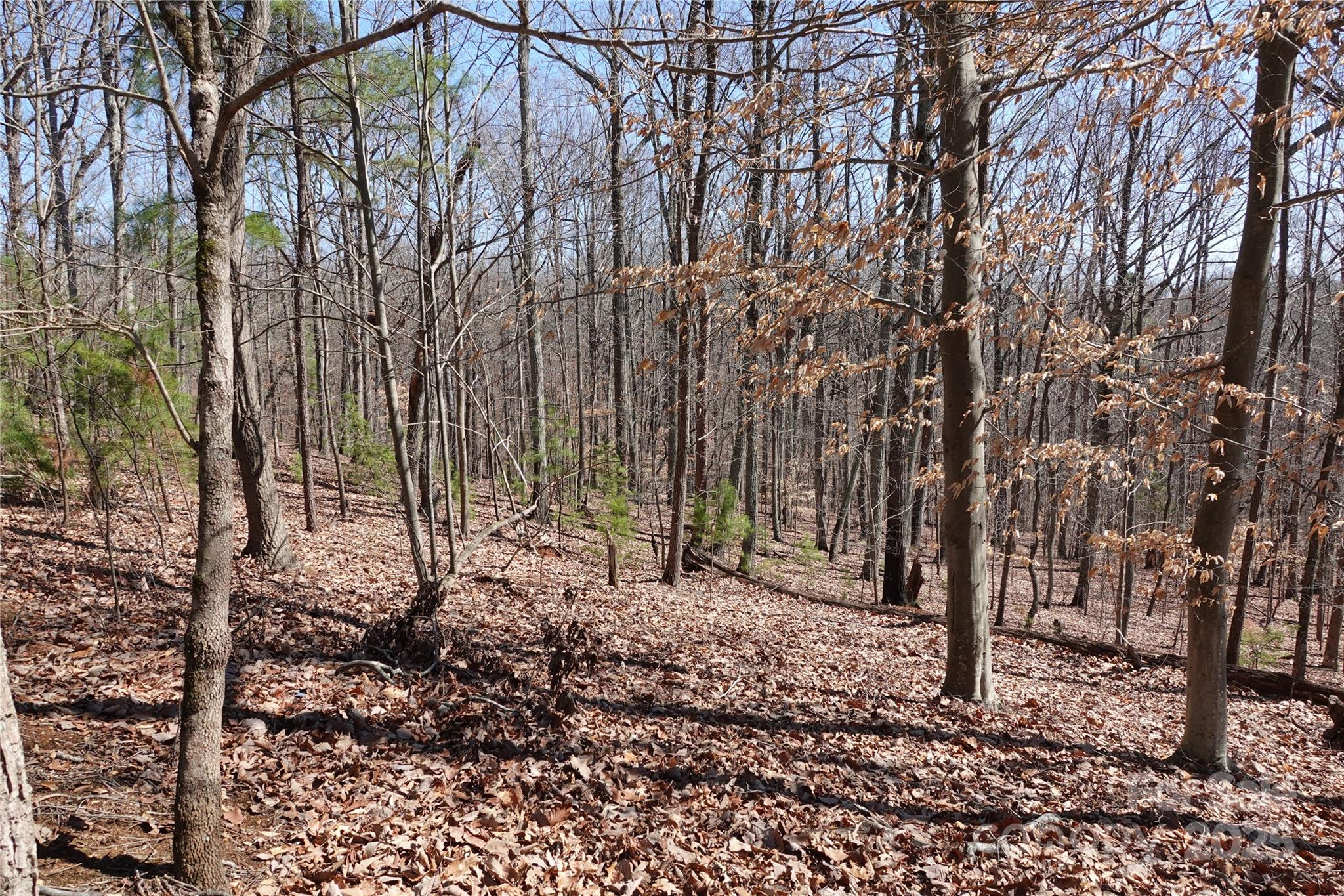 14427 Roe Buck Meadow Lane Property Photo 3