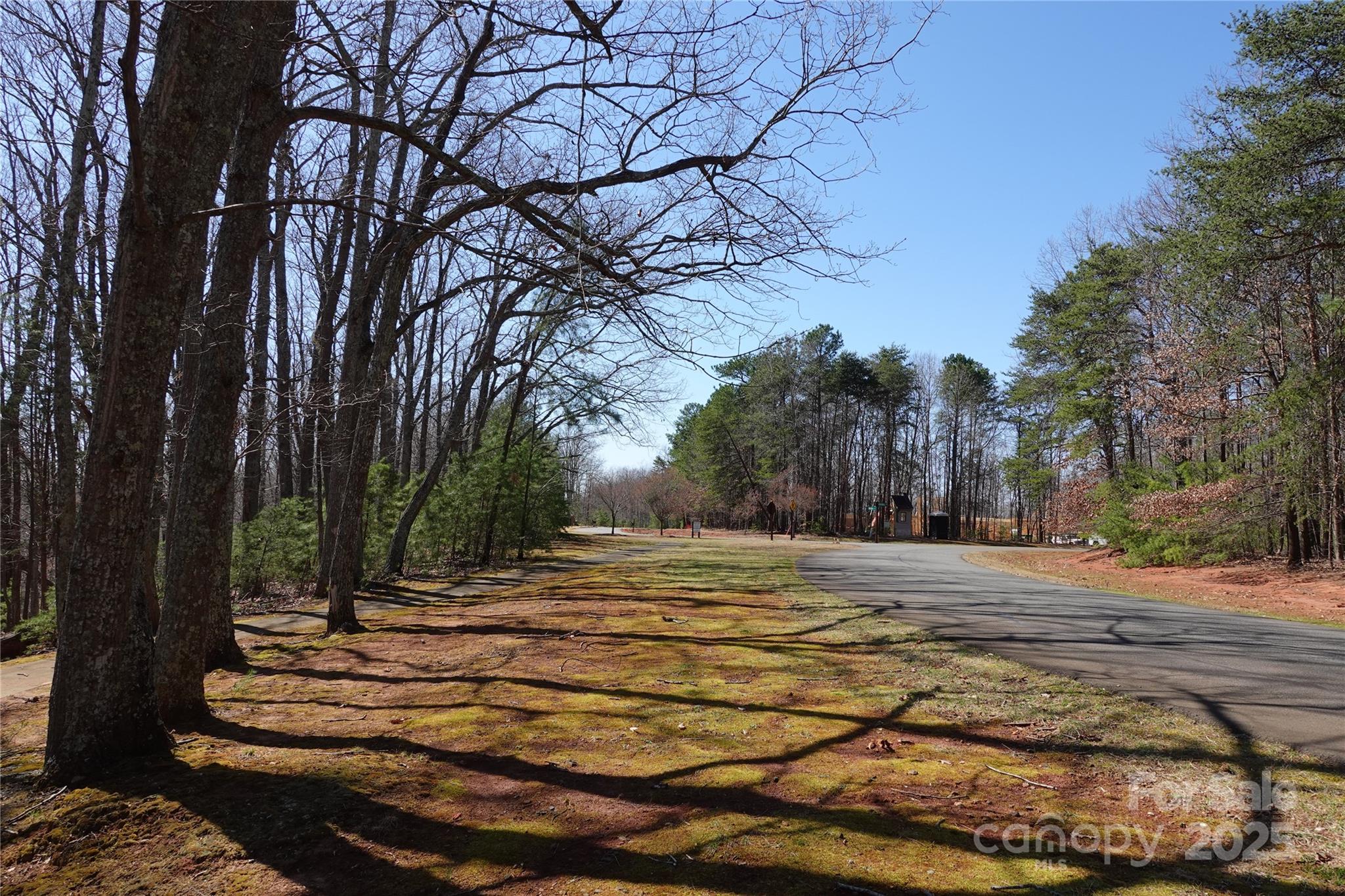 14427 Roe Buck Meadow Lane Property Photo 5